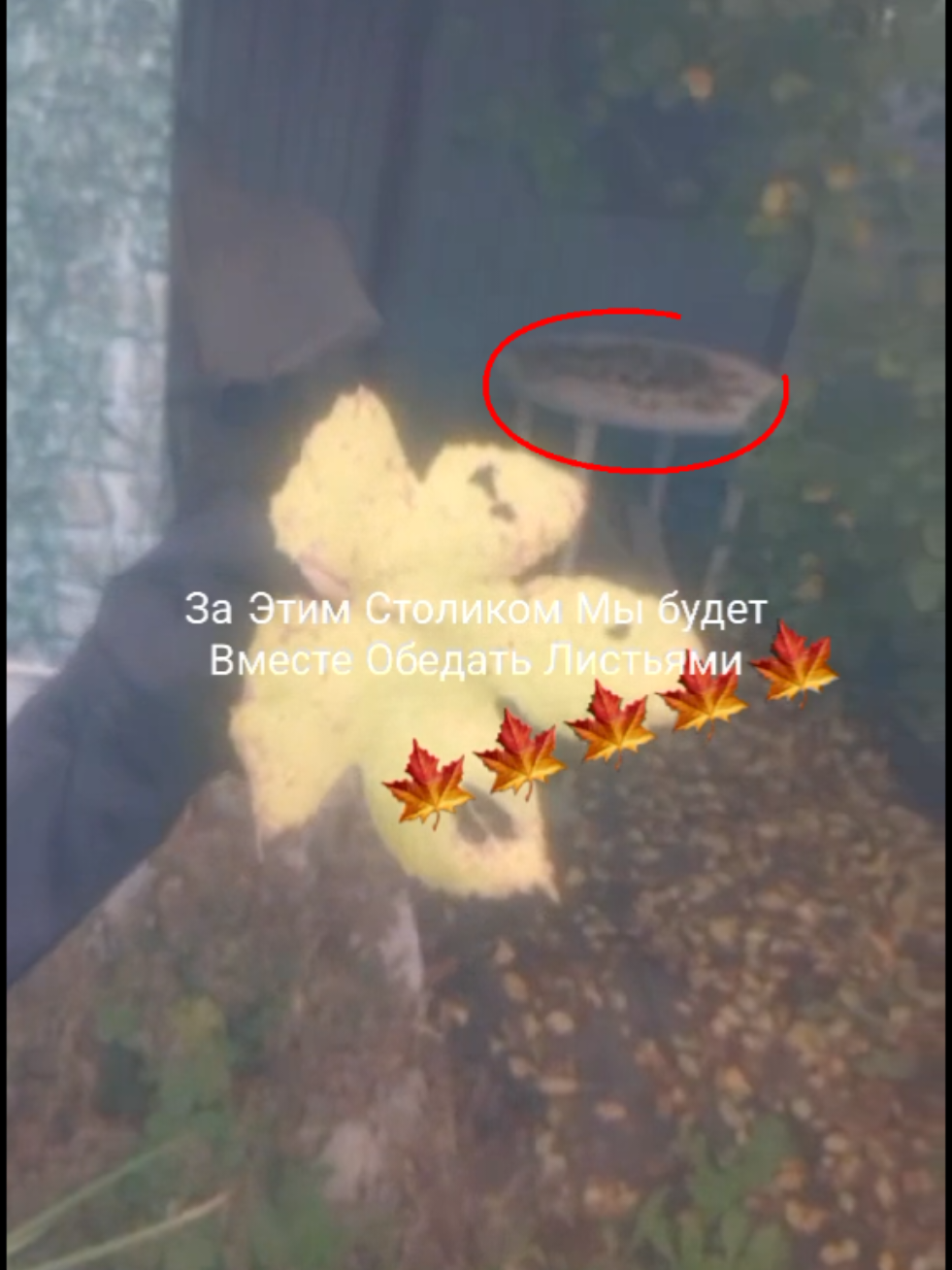 @п1мп04kа