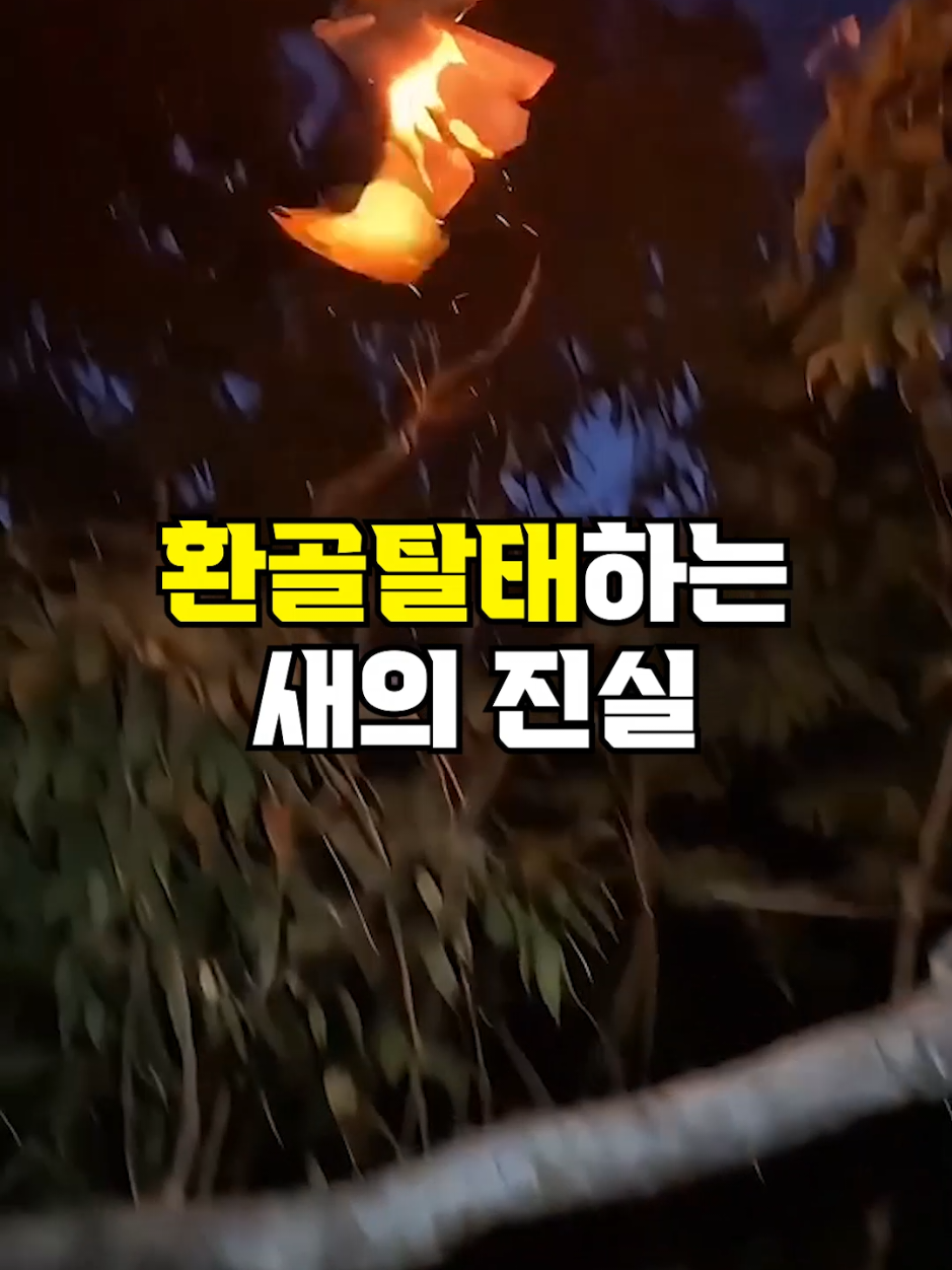 @뚝딱 상식 뚝배기