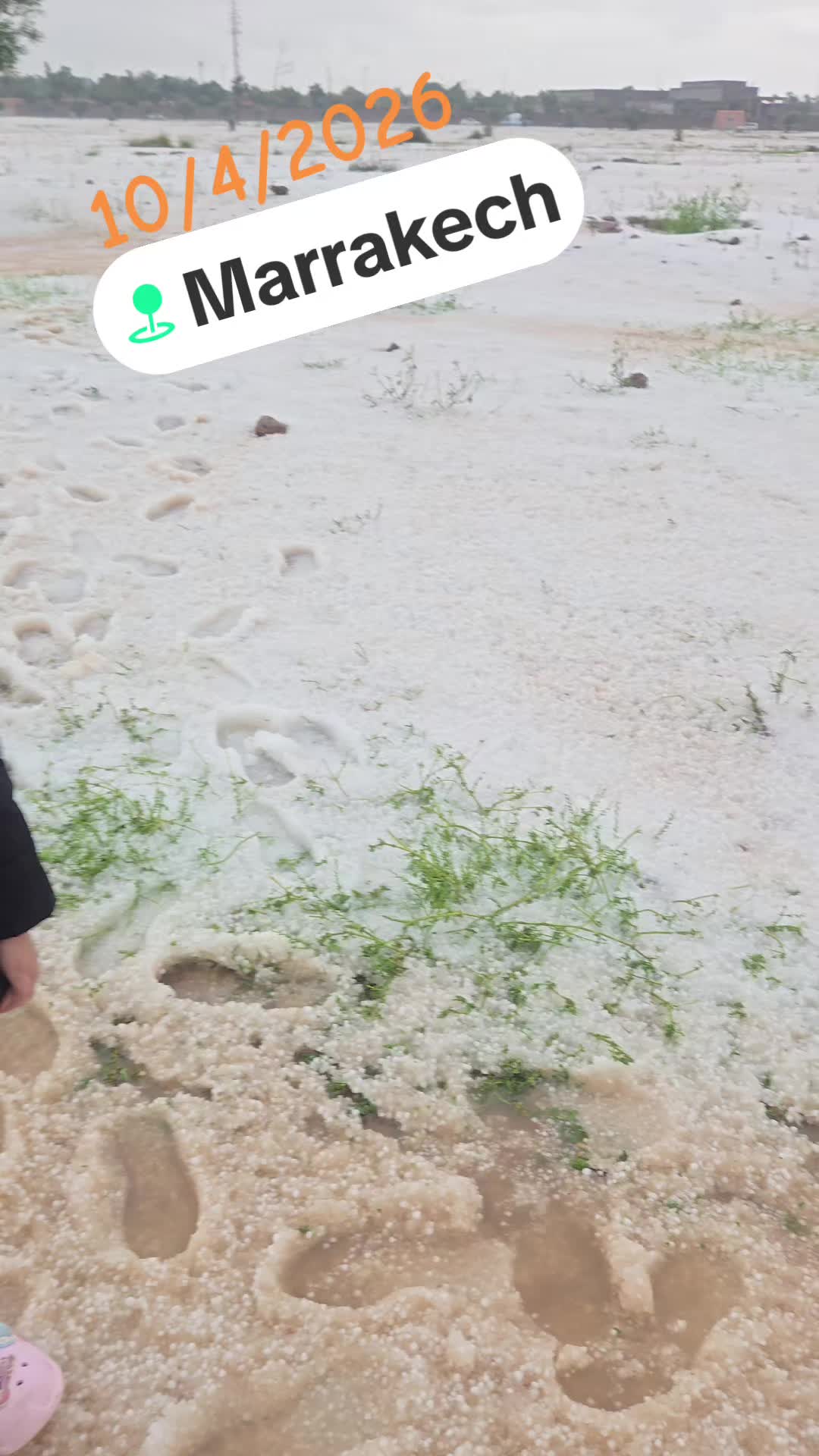 @Zagalo007