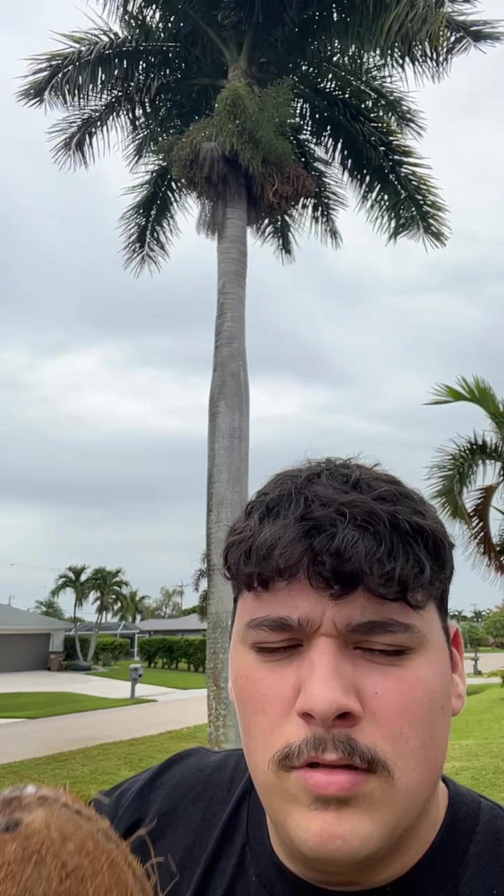 @𝒯𝓇𝒾𝓈𝓉𝒶𝓃 𝓁𝑒𝓌𝒾𝓈