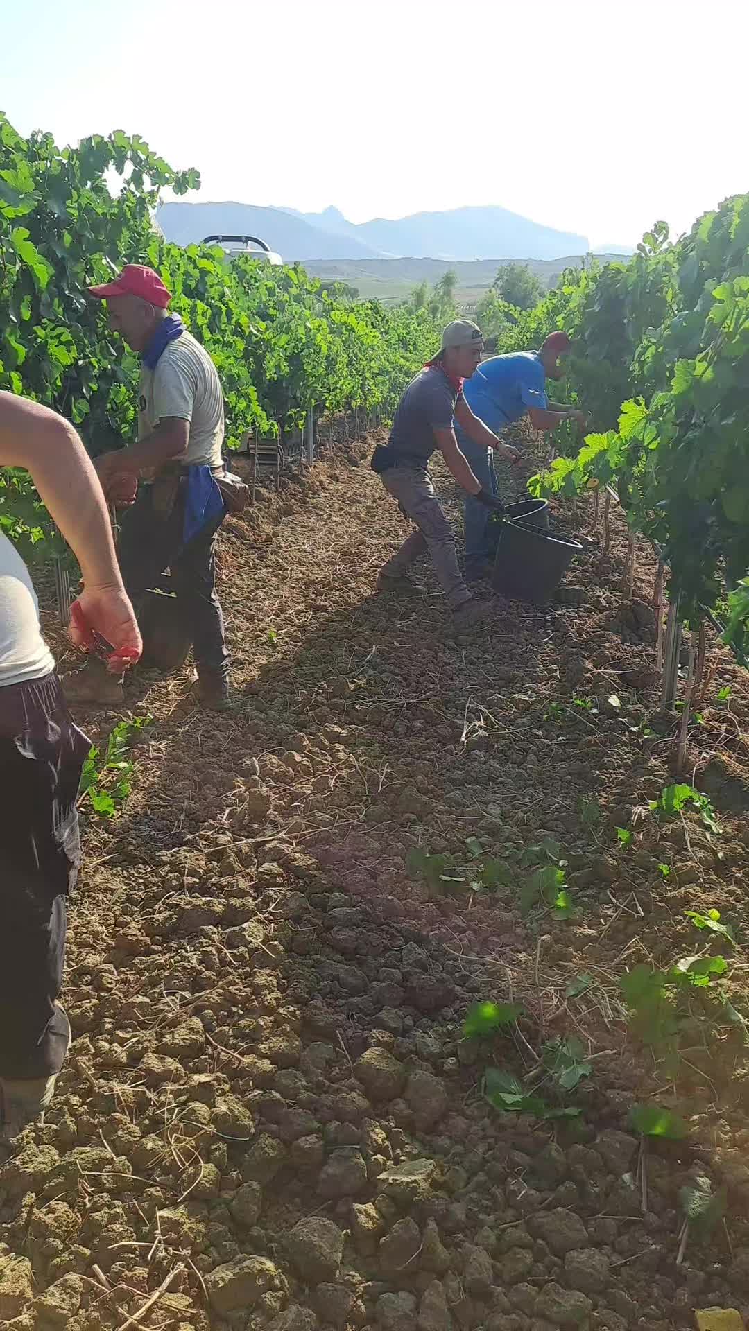 @Maurizio mulè