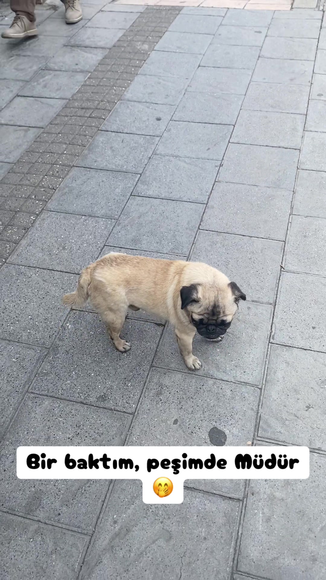 @Şapkalı Kadın