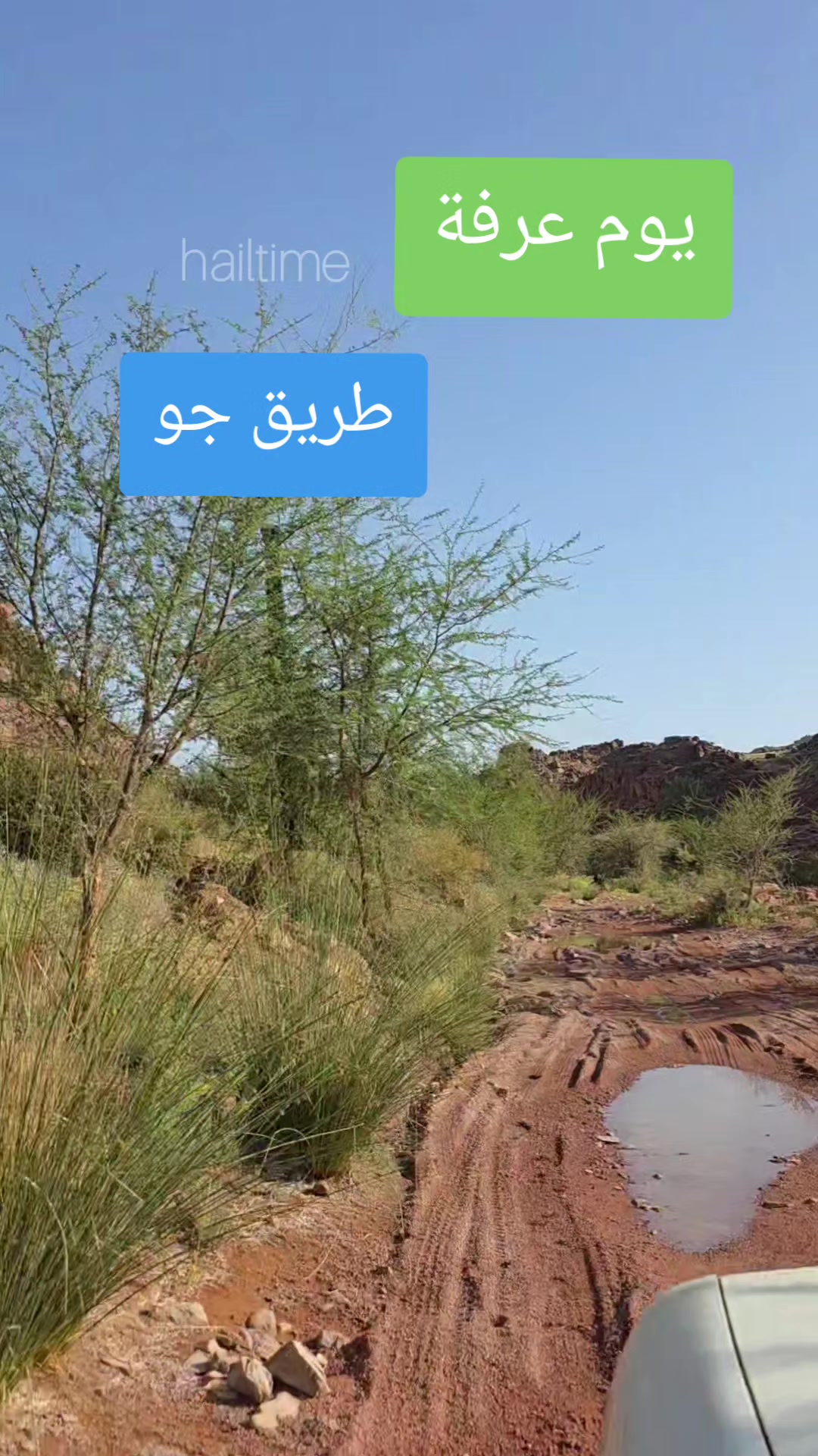 @ابوايوب الشمري