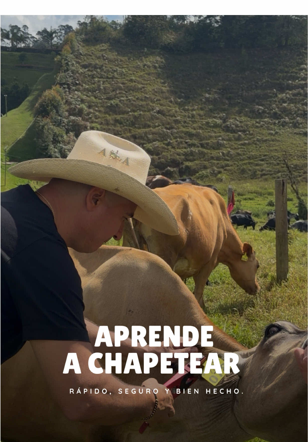 @Rehagronegocios