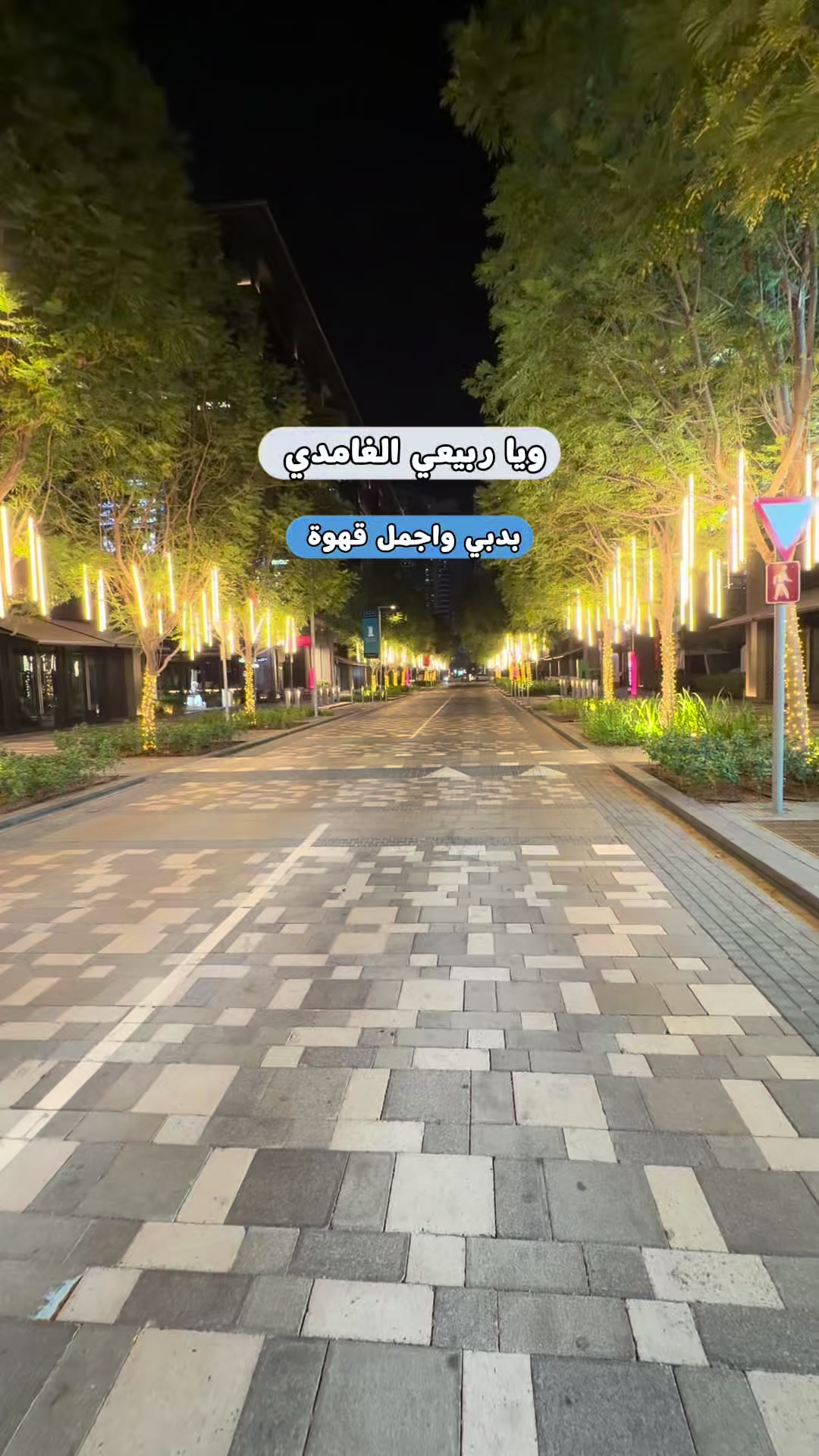 @محمد الشحي ✈️🇦🇪