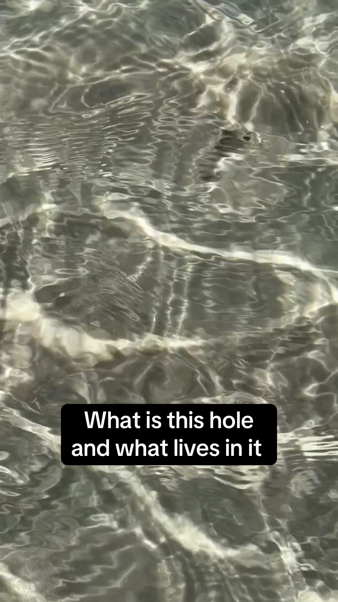@Andrew Comanche