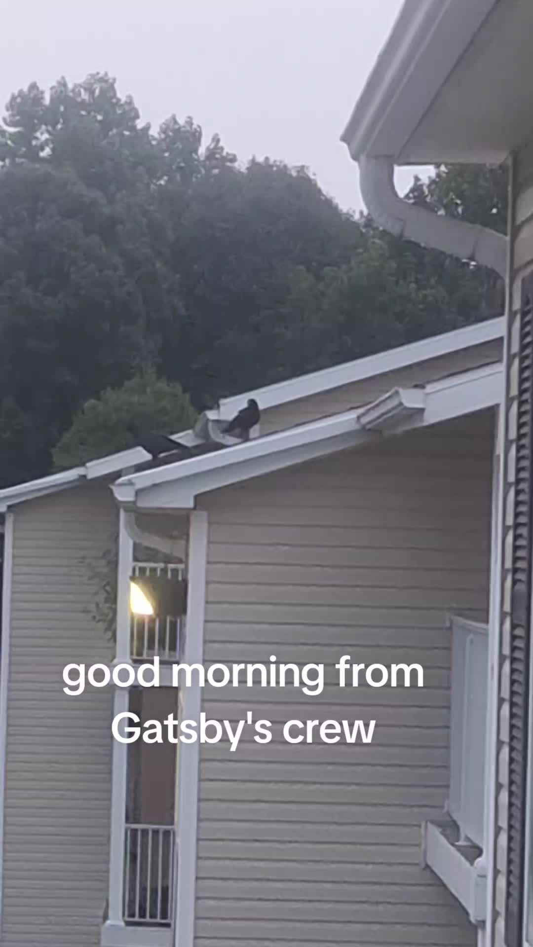 @🖤