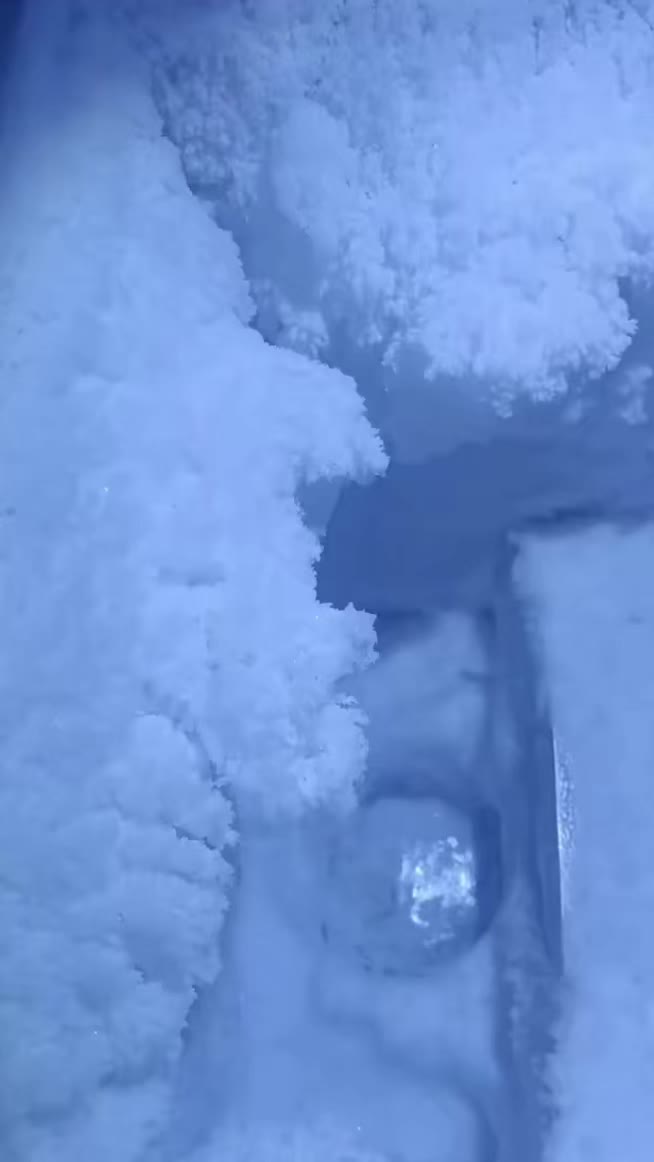 @ICEE🩷