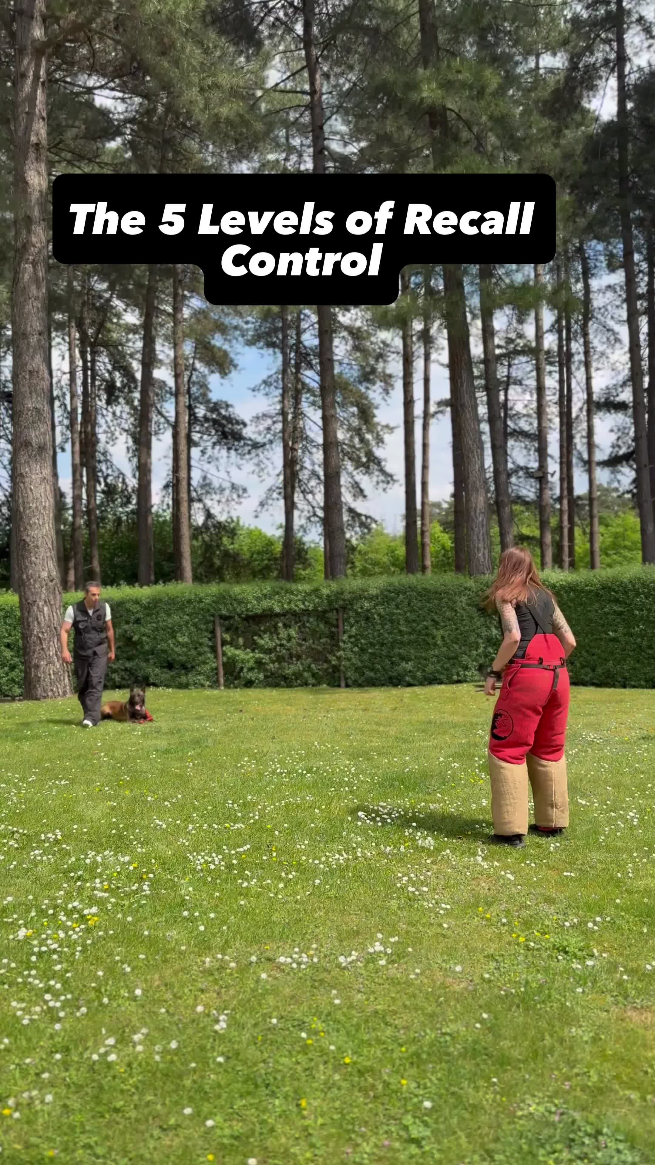 @STSK9