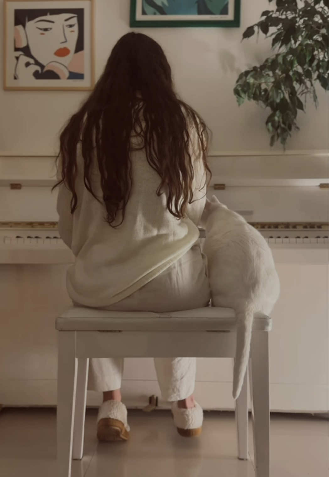 @albamessa