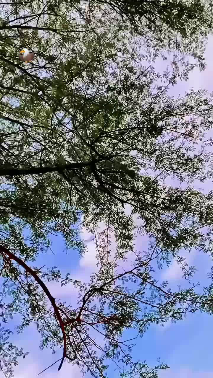 @🇸𝐀𝐋𝐈𝐇  🇬𝐔𝐋𝐋𝐈
