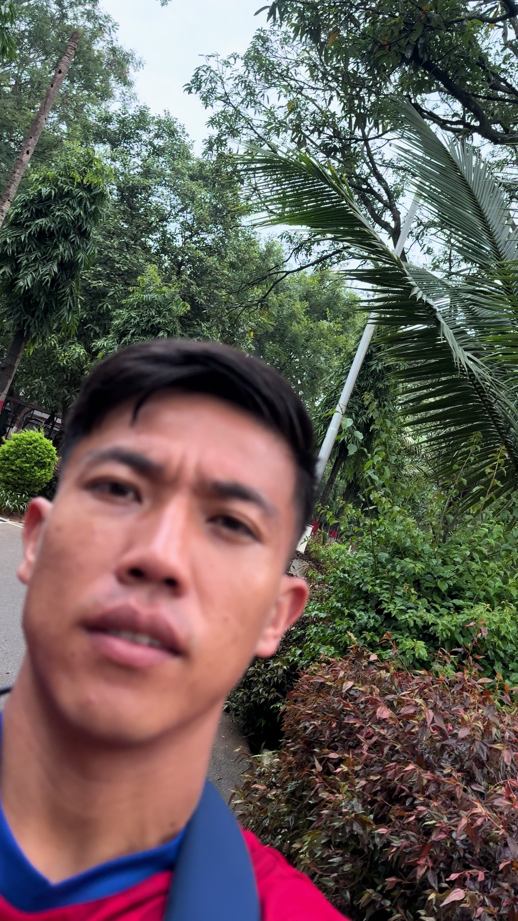 @alan.thapa.parody