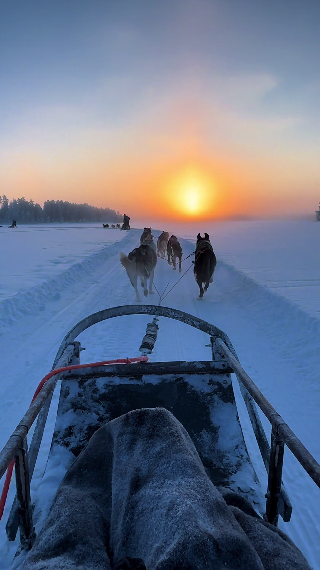 @elenagiannoutsou