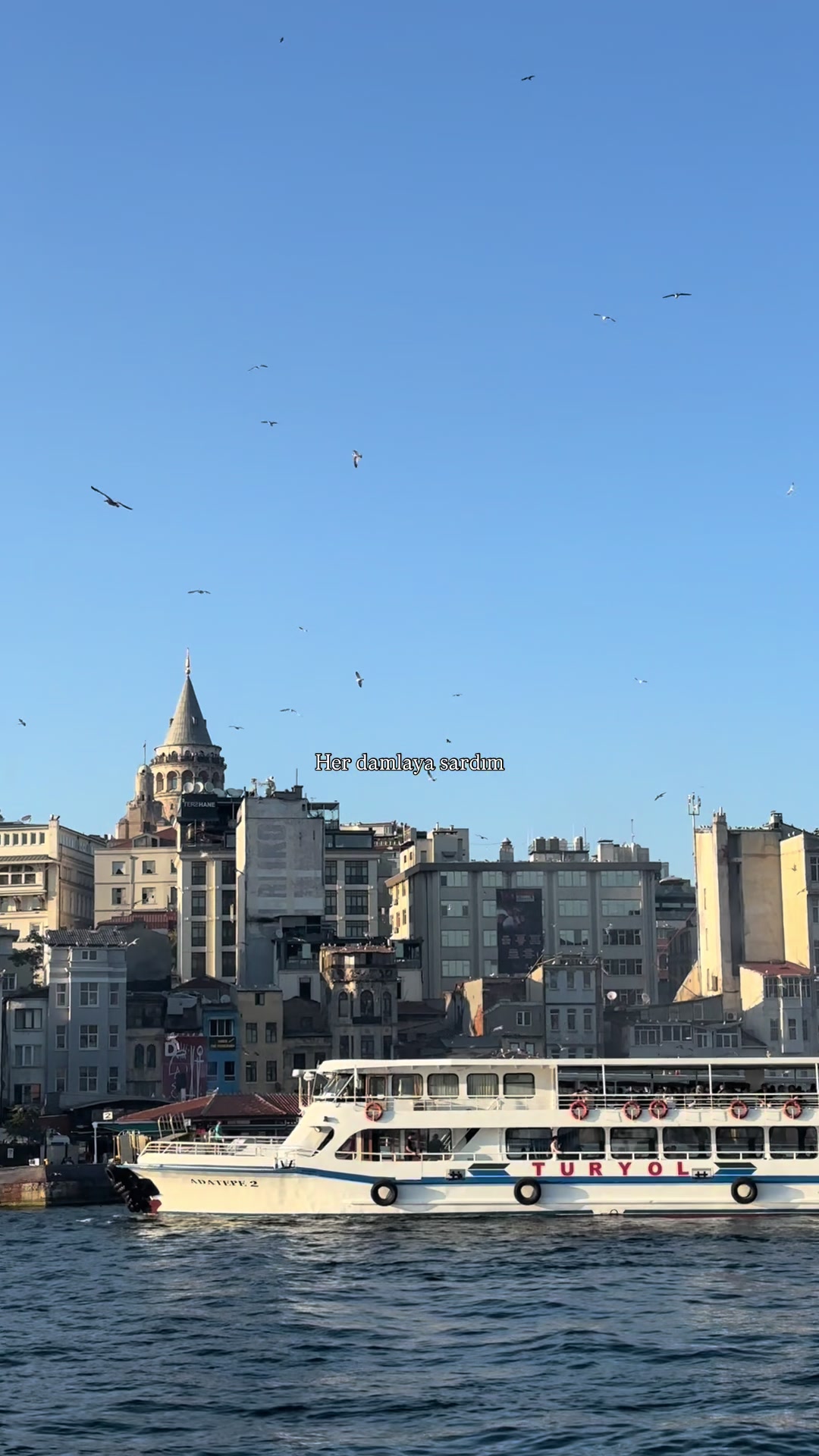 @𝐿𝑜𝑜𝓀 𝒜𝓉 𝒯𝒽𝑒 𝒮𝓀𝓎