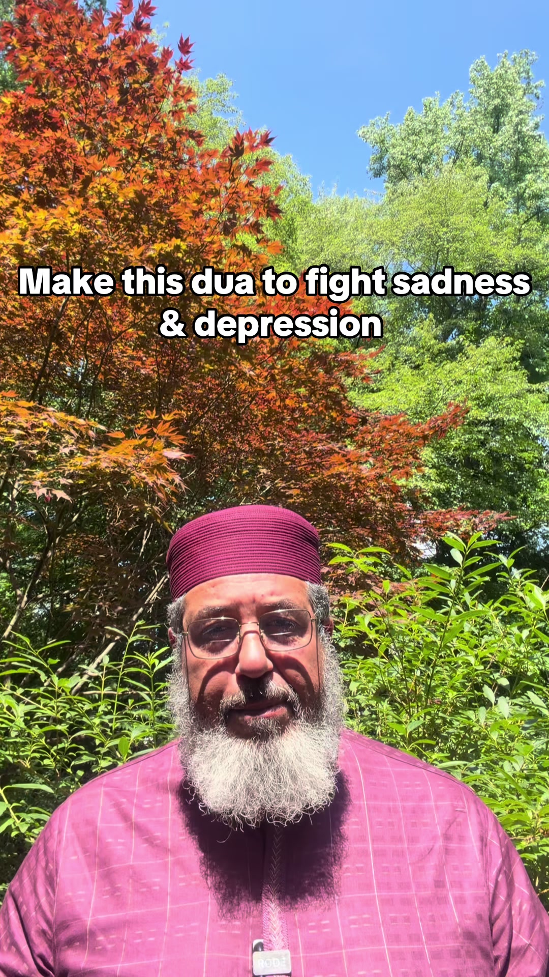 @Imam Sherif Abdalla Shehata