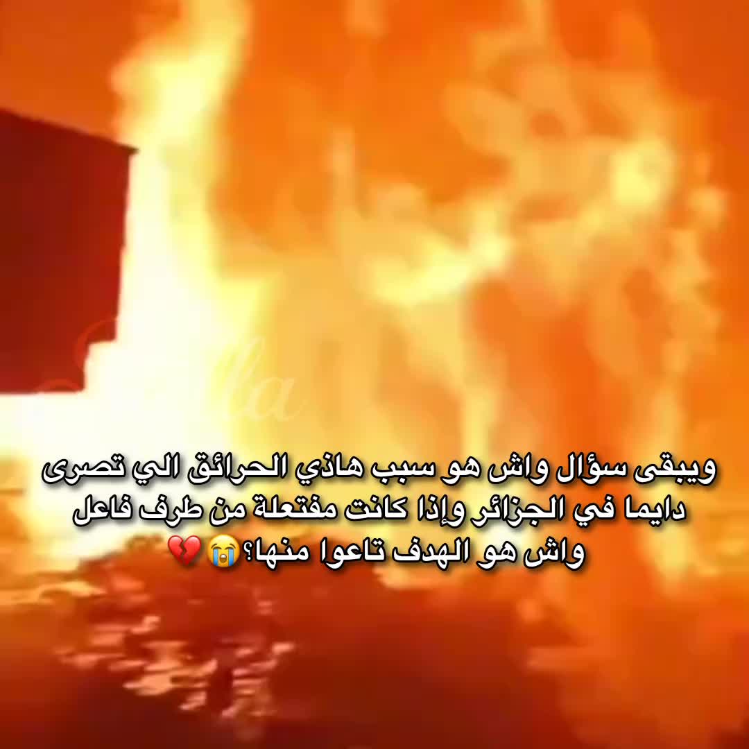 @⋆𝐒𝐭𝐞𝐥𝐥𝐚𐙚𓍢ִ໋