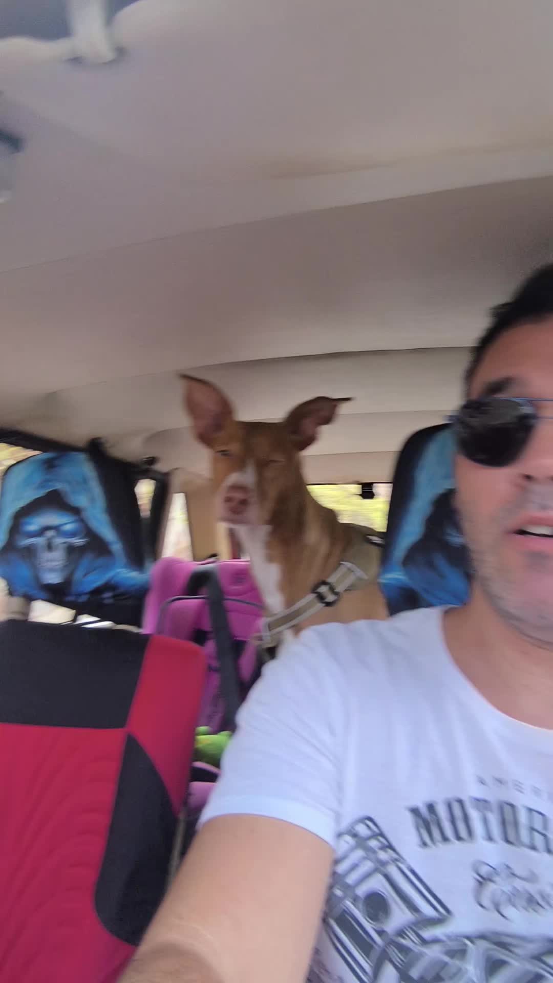 @ASMR SUPERLATIVO
