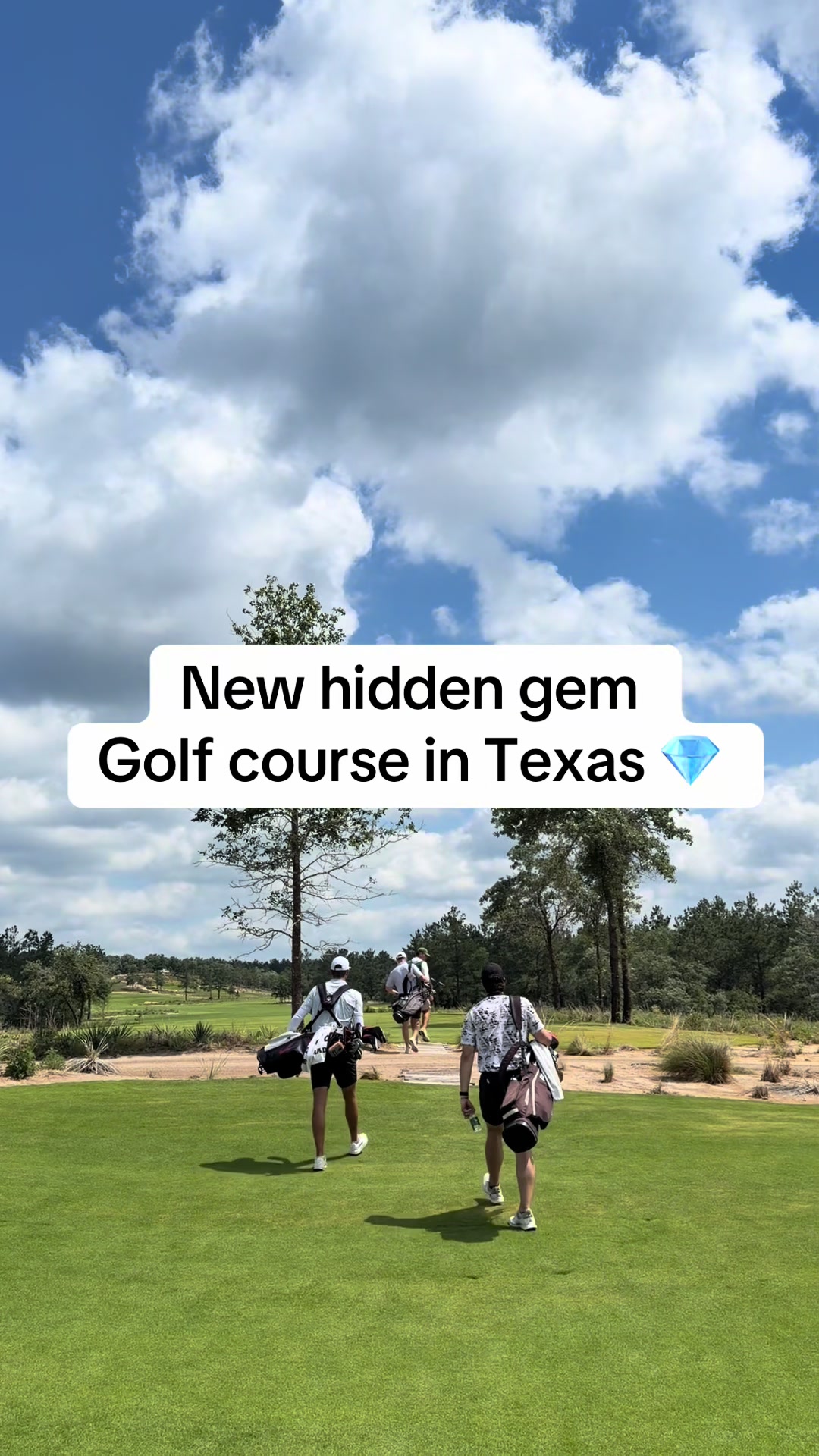@Two Tees Golf