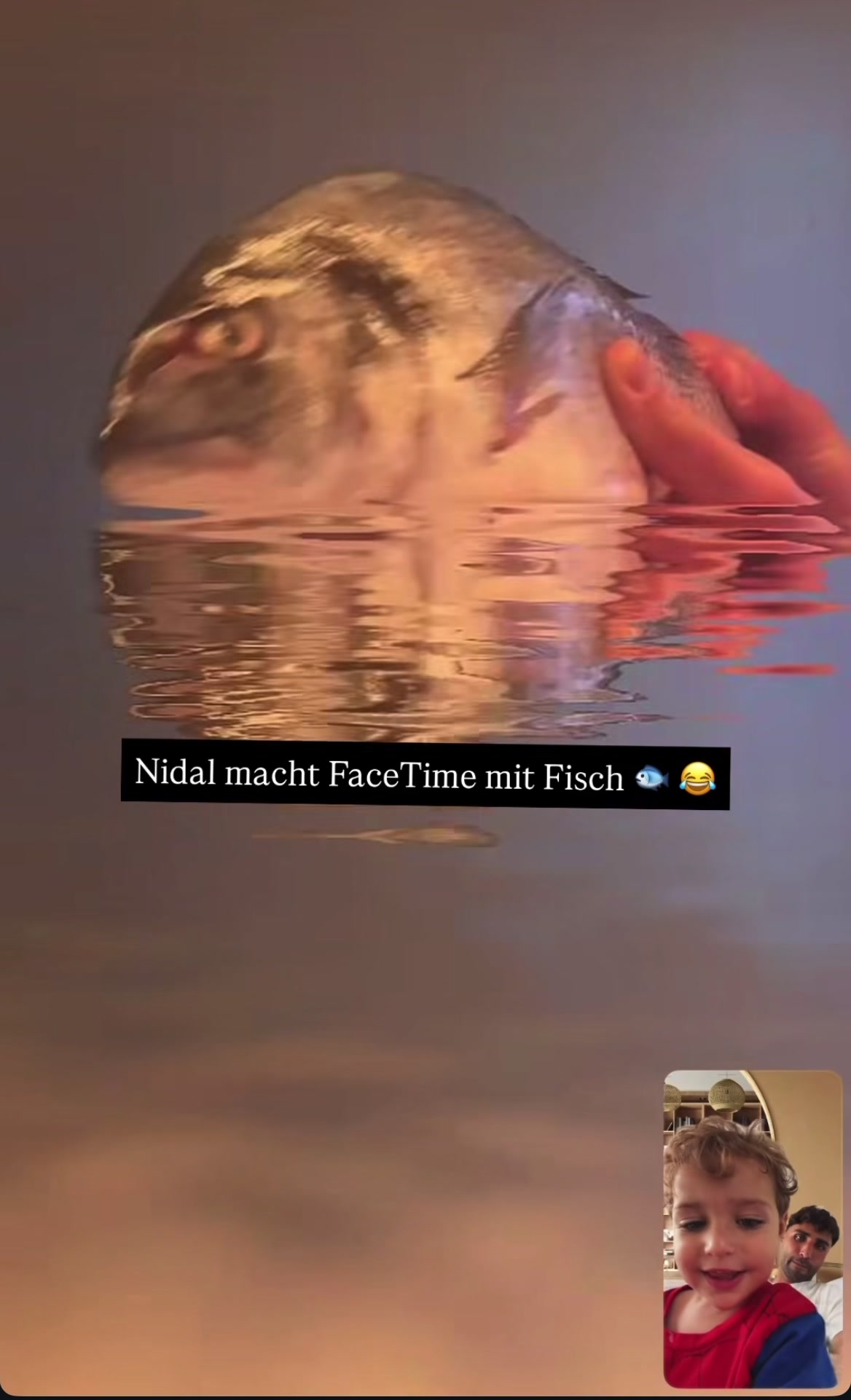 @nidaljindaoui.offiziell