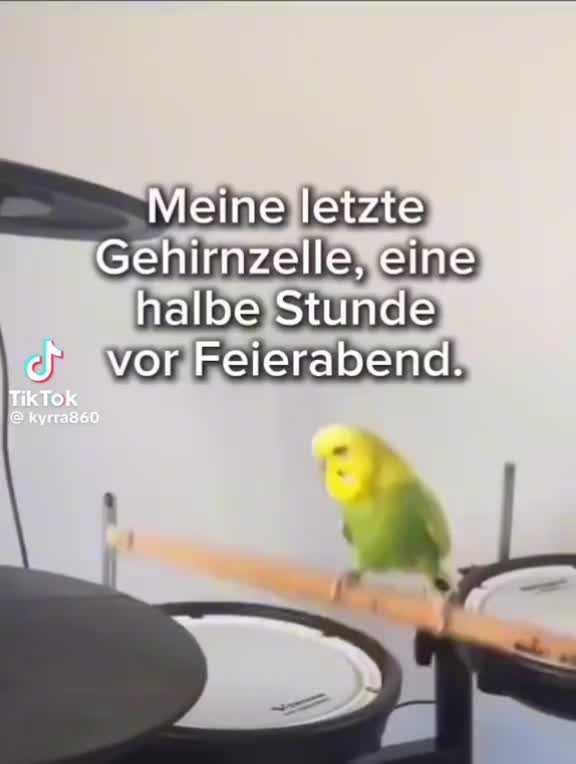 @♥️Katzenmama♥️