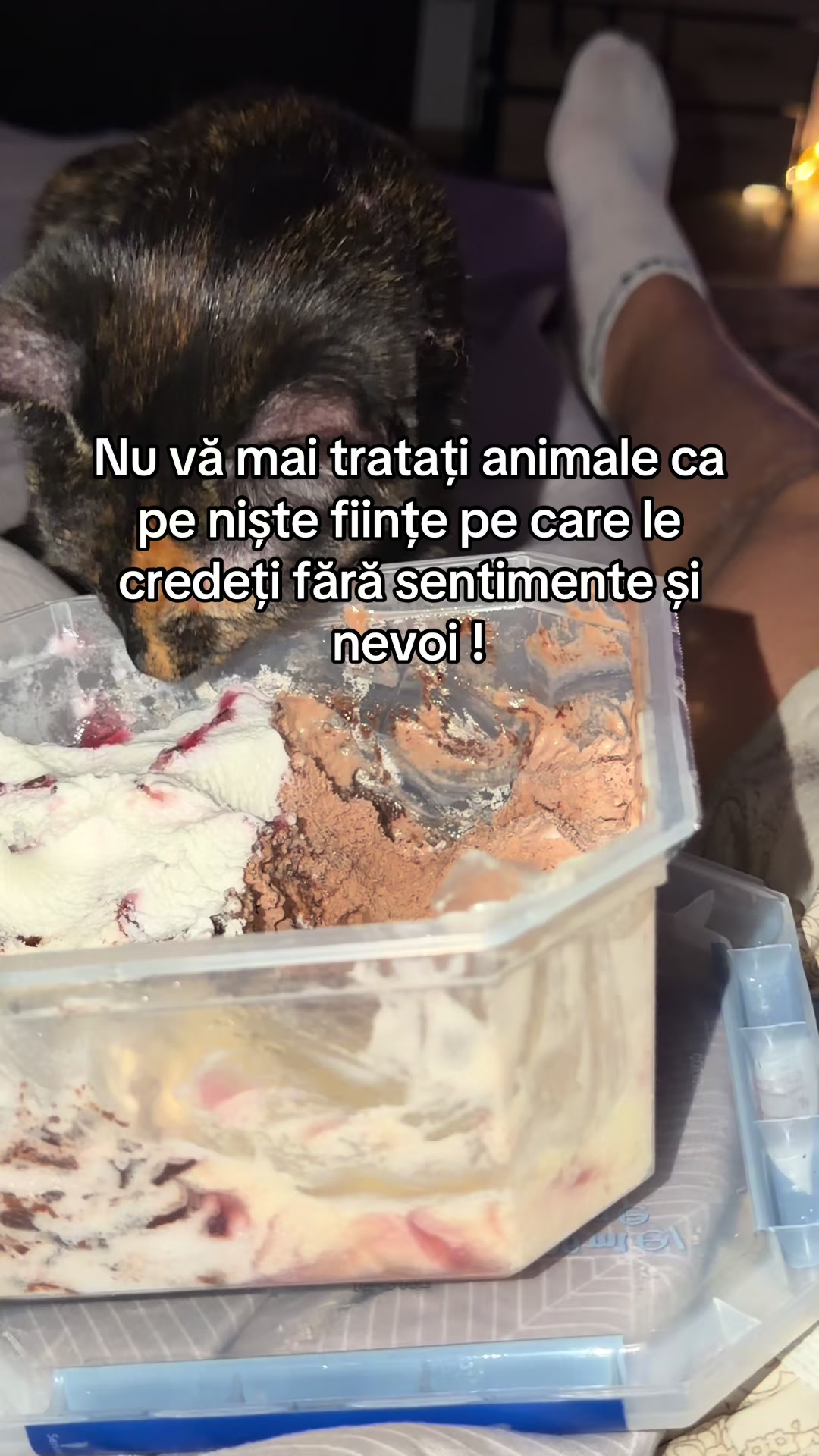 @Ionuthp