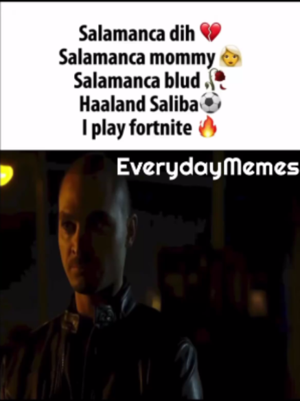 @EverydayMemes
