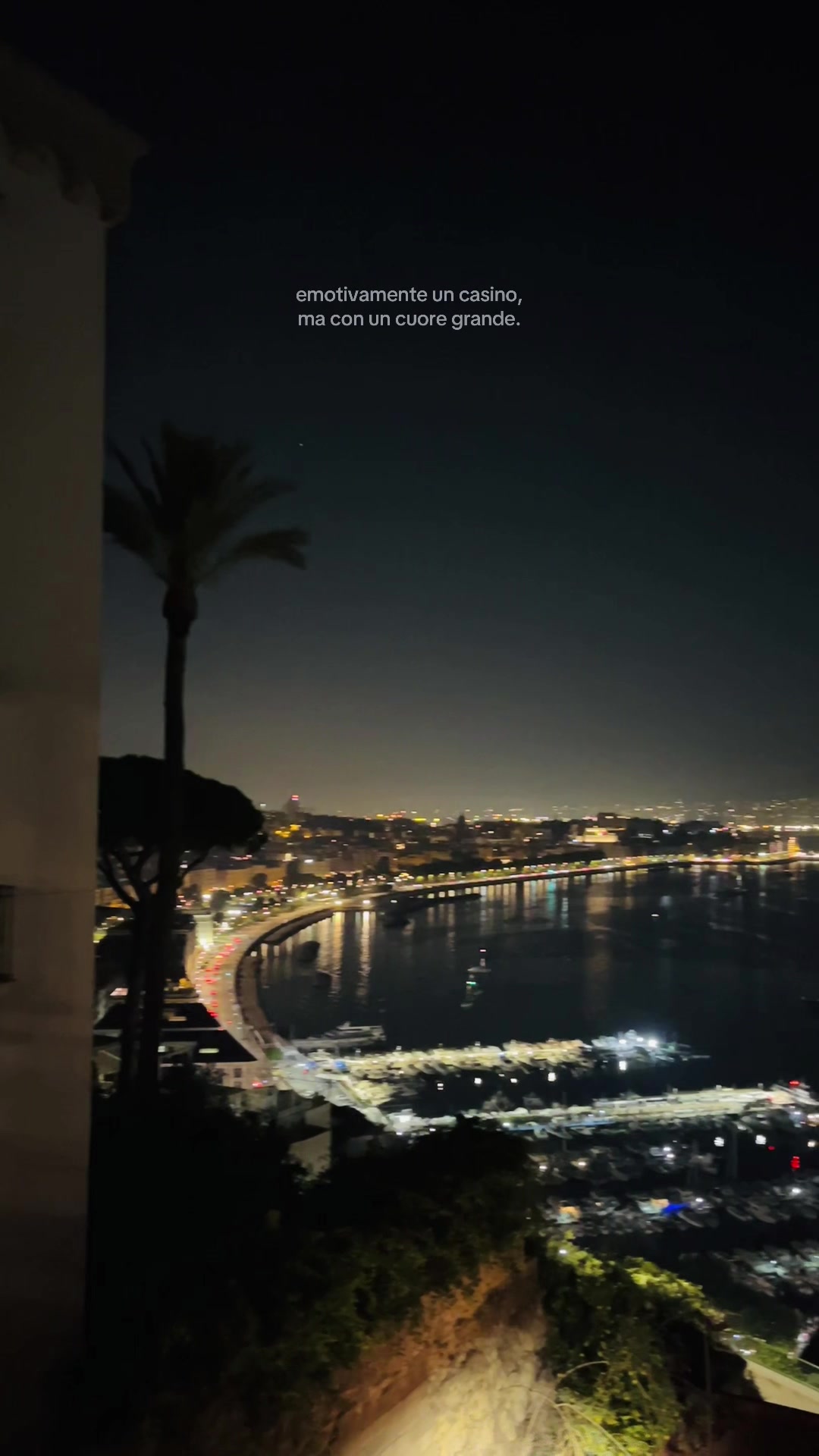 @lavi🌙