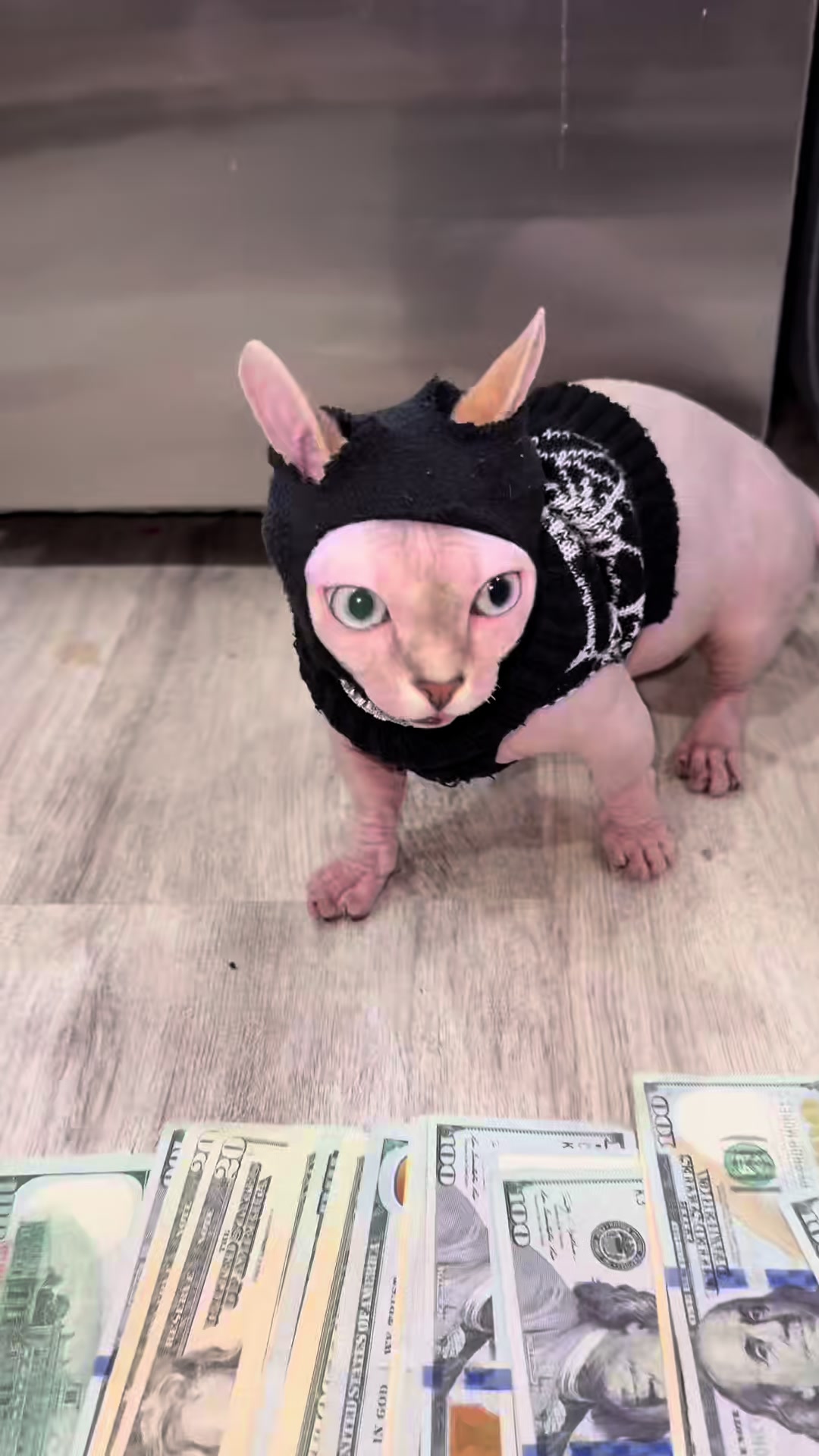 @famoussphynx