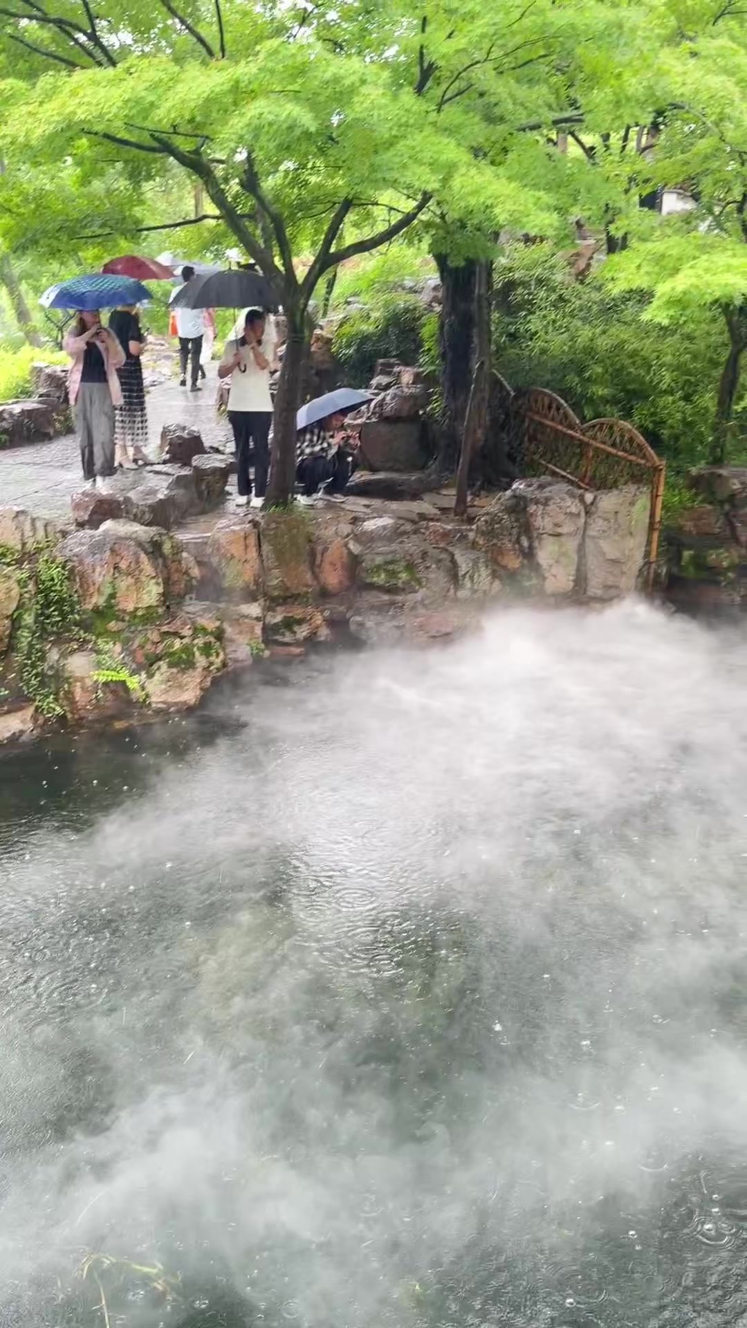 @琳达在美国