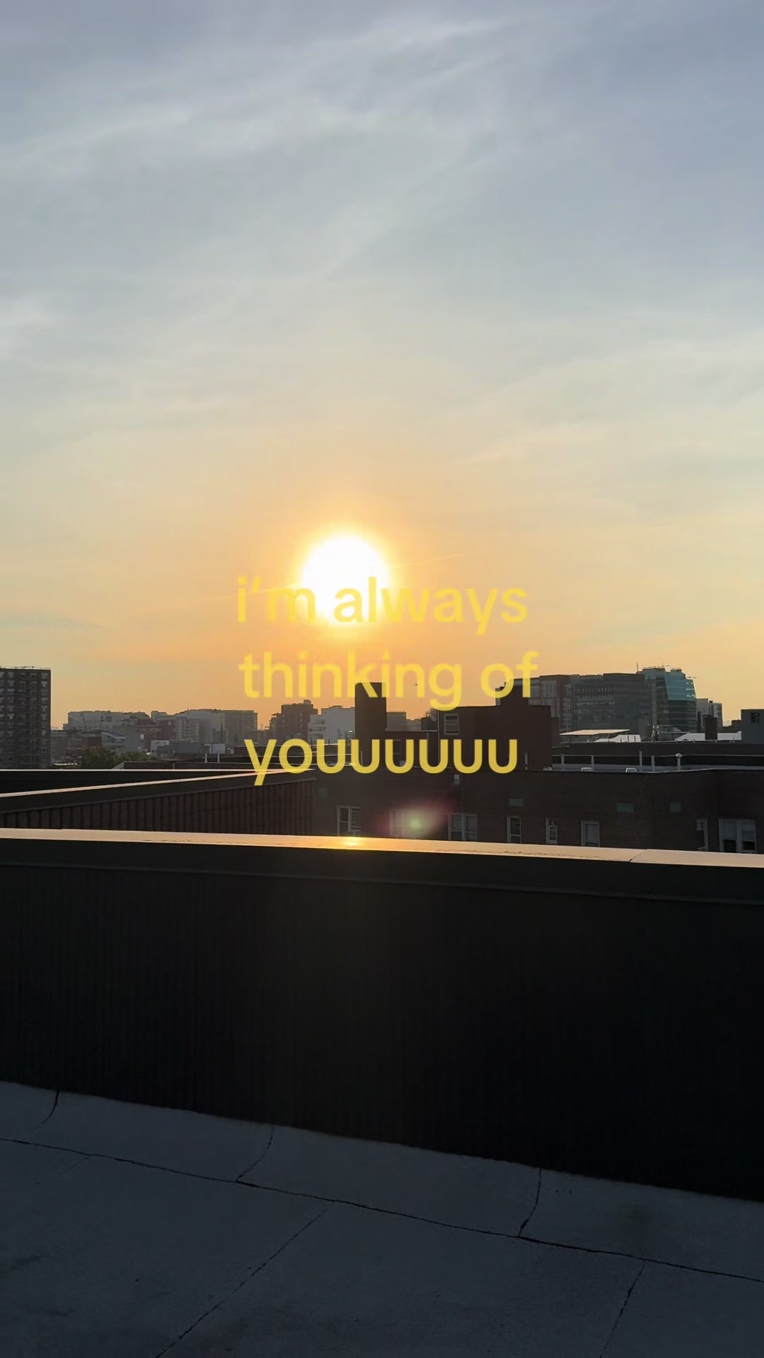 @jihae