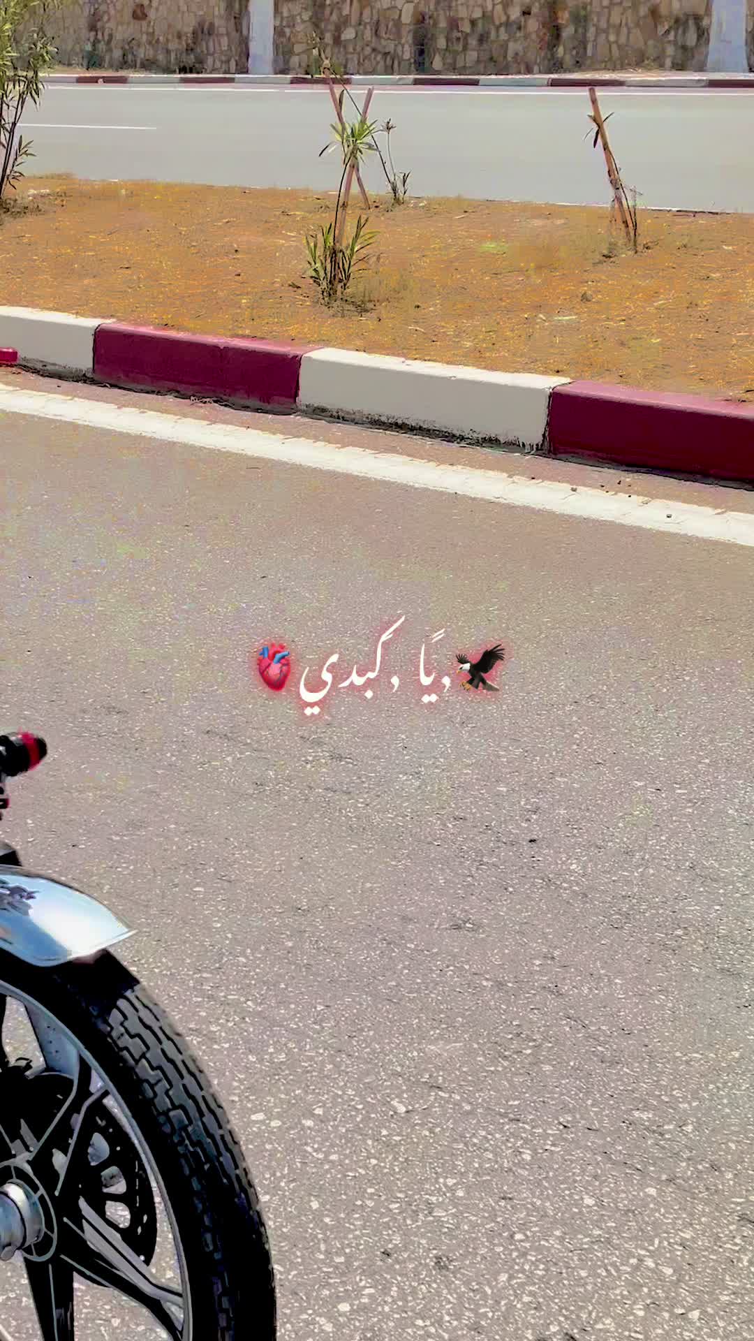 @🦅,ًشيكور ,ًالطريق🦅