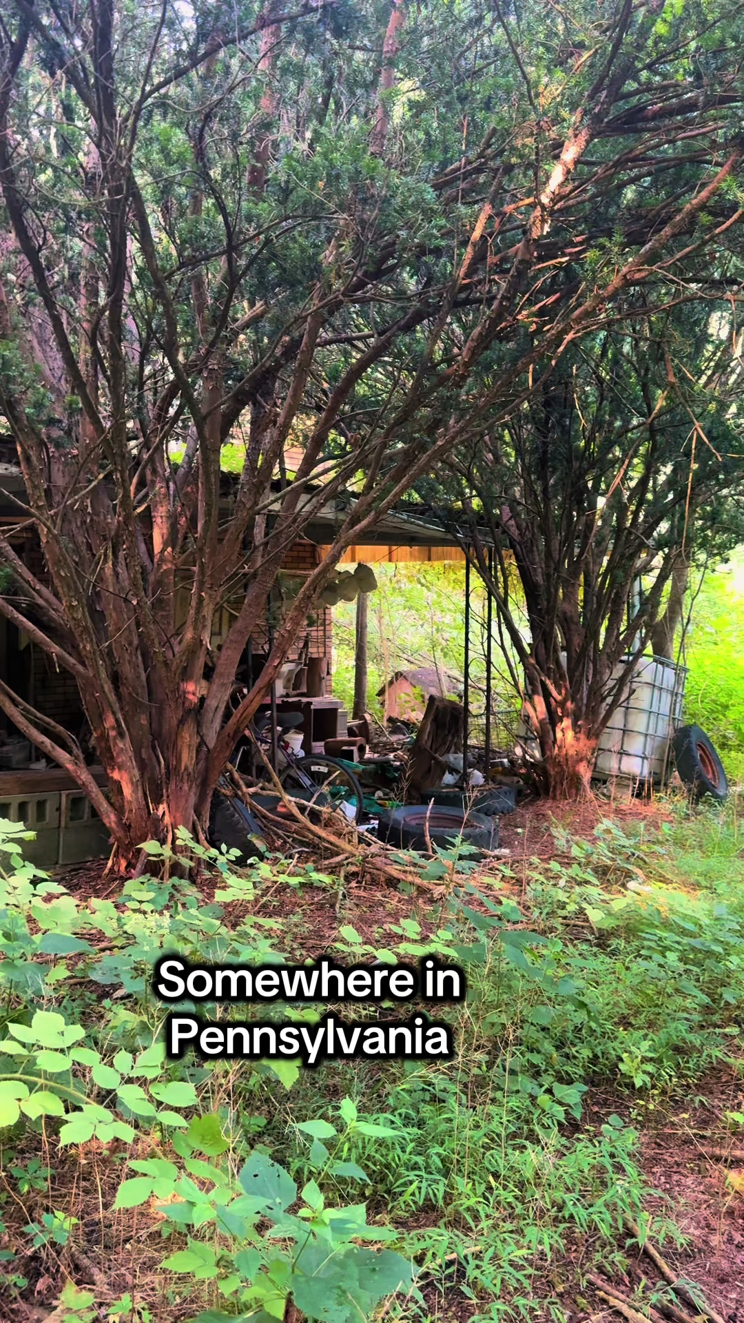@Harmony | Somewhere in PA