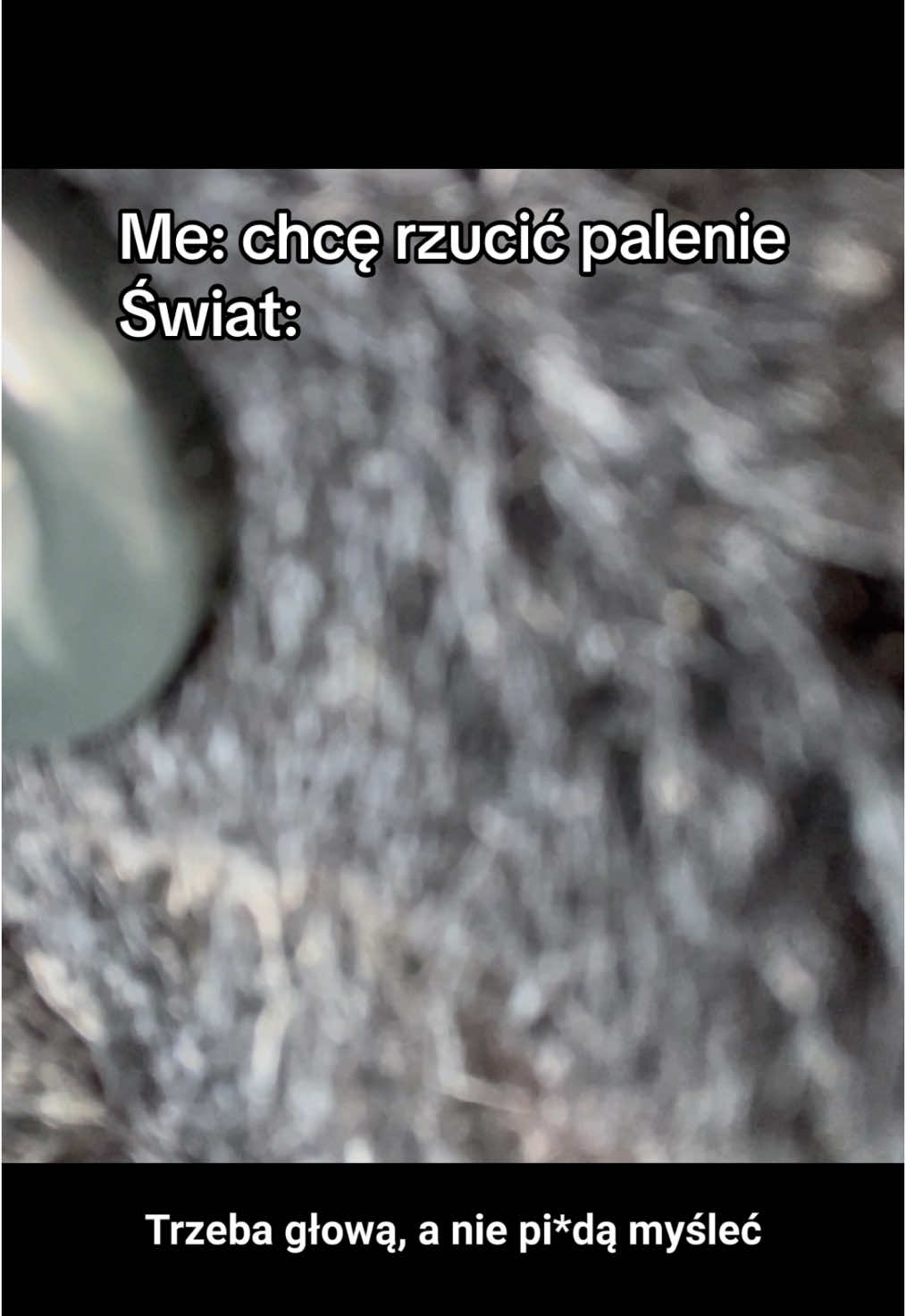 @Nikola Wilczewska