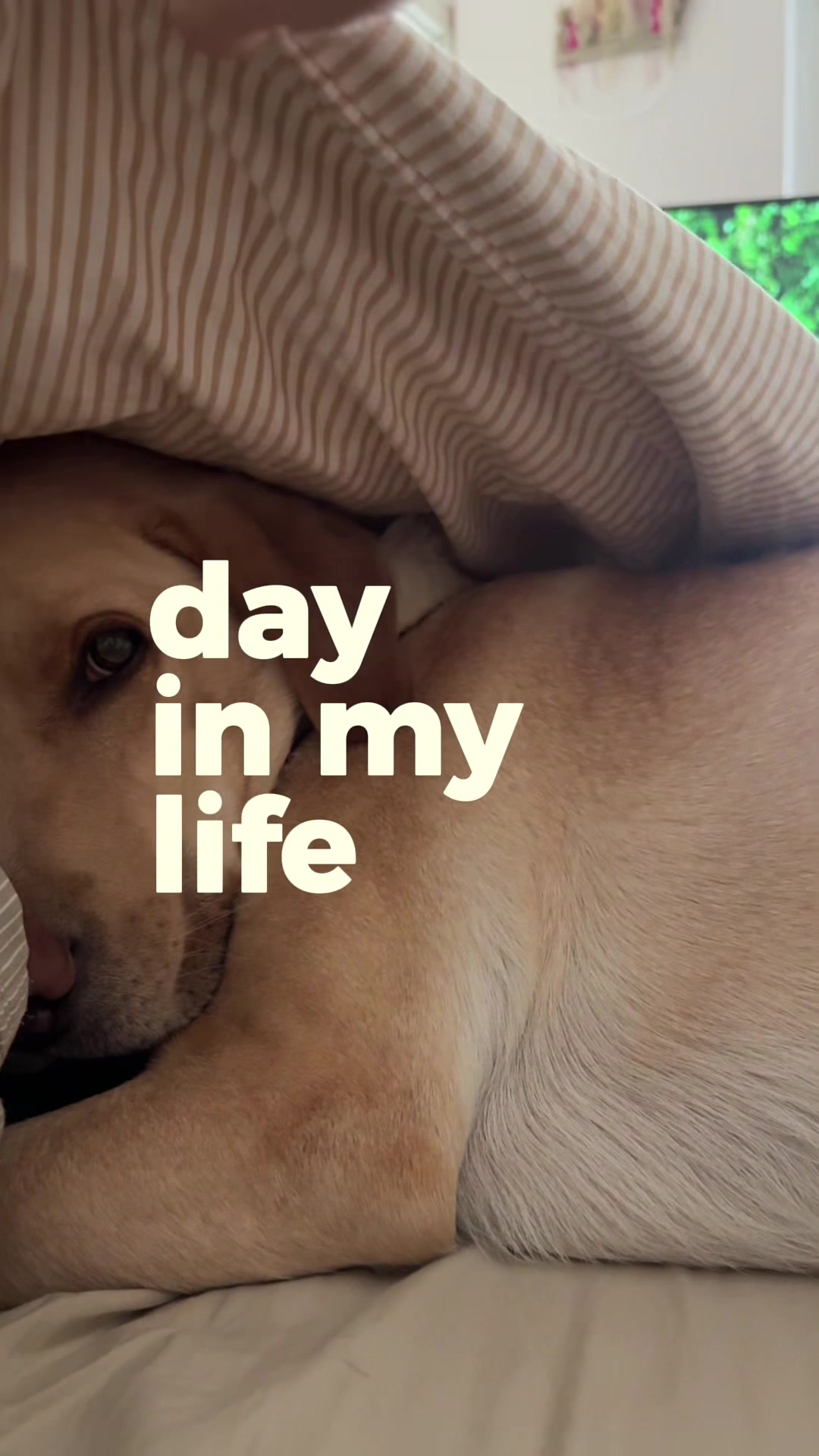 @Elisa | UGC • Dog • Lifestyle