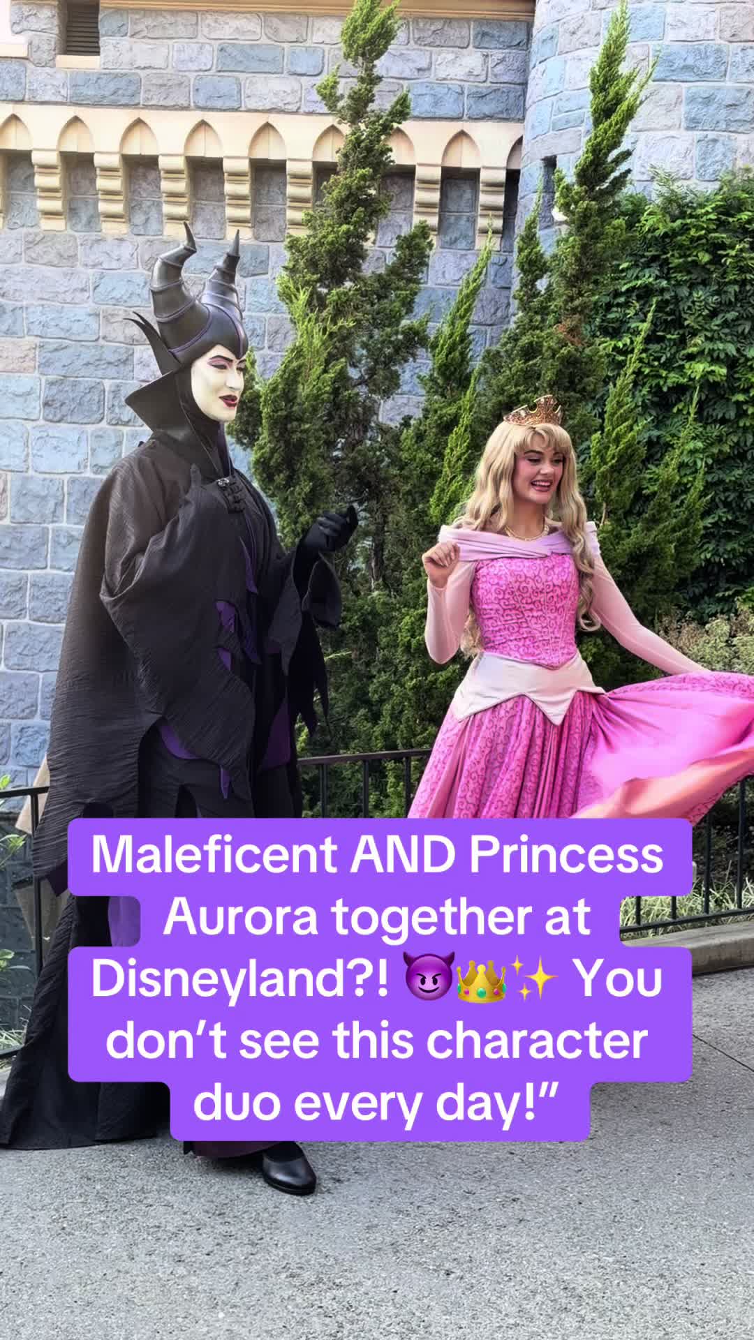 @tinarosethemeparklife