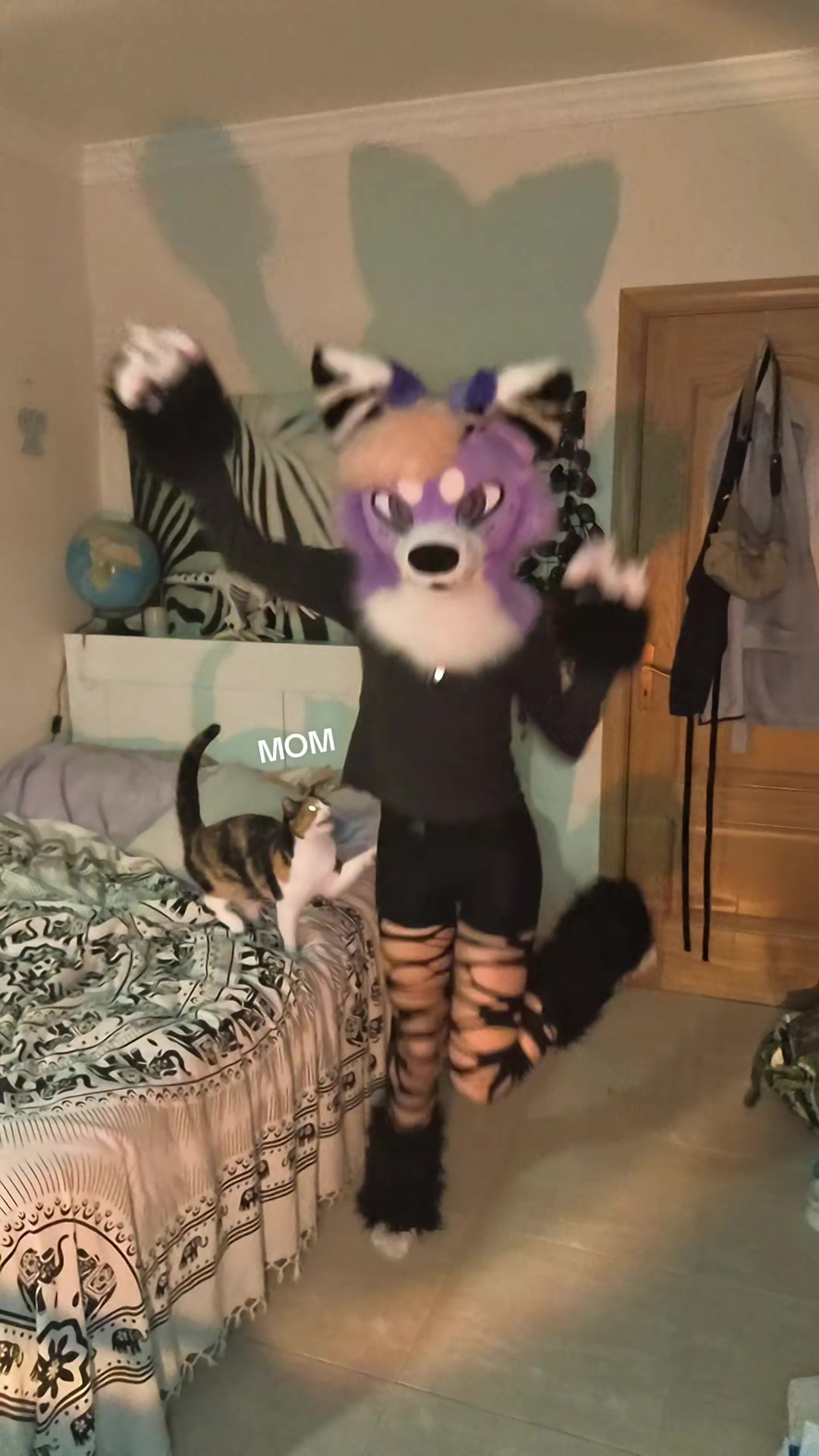 @Kyo_da_Wolf