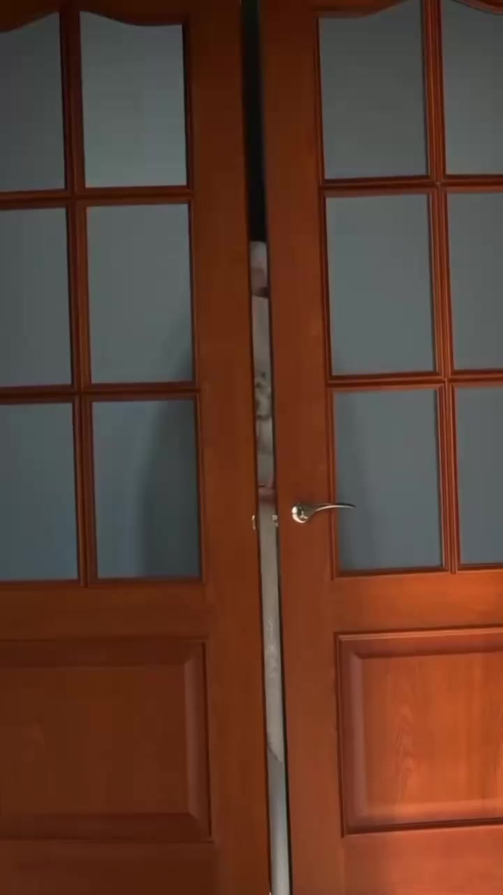 @โค๏ธ๐๐ฎ๐๐ถ๐บ๐ฎ_๐พ๐๐ฒ๐ฒ๐ป๐โค๏ธ