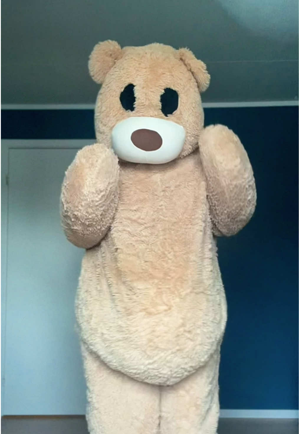@teddytok