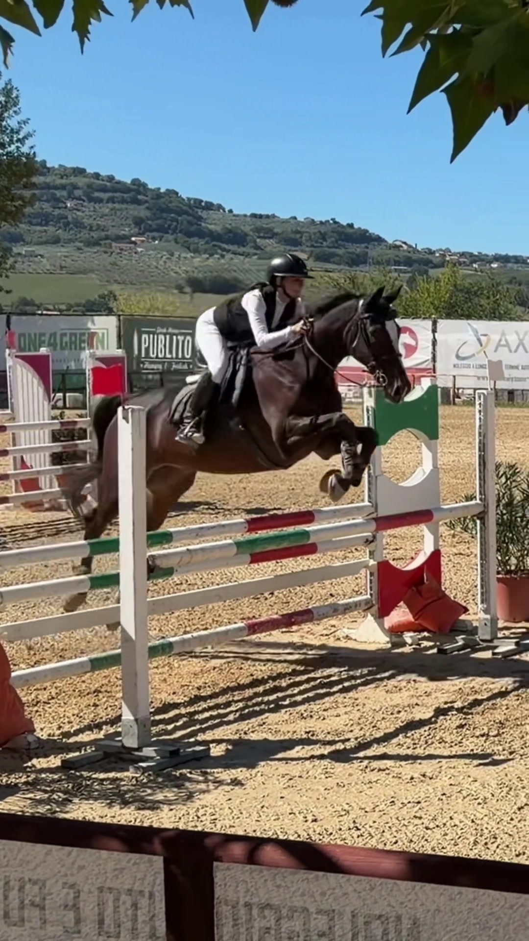 @giuli⭐️