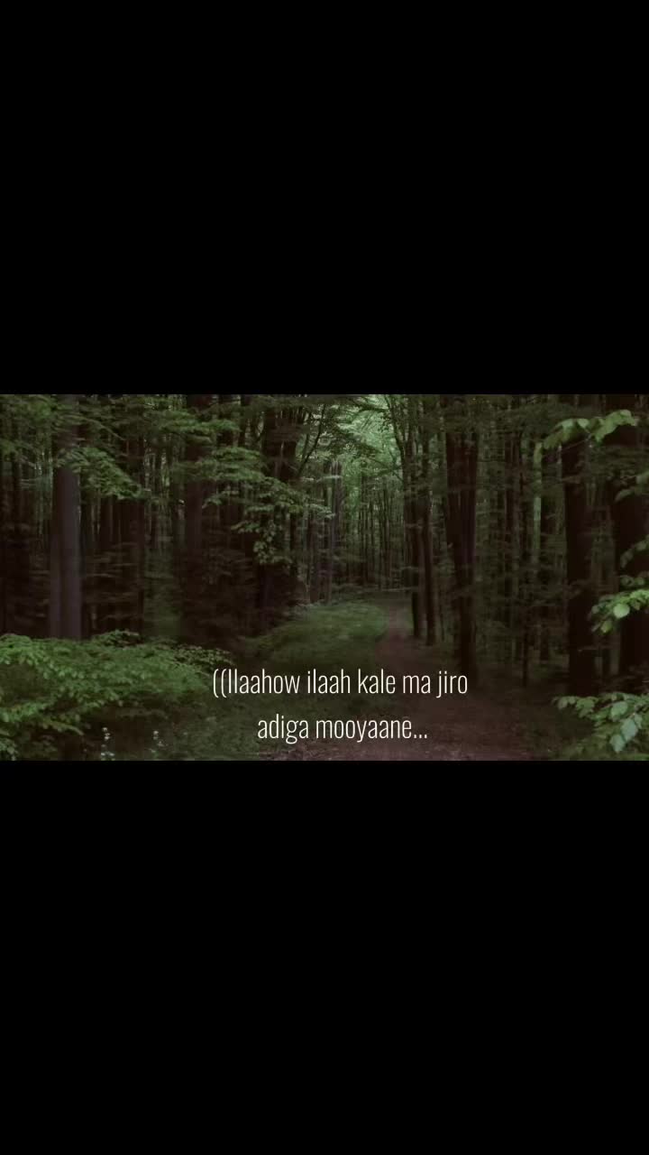 @ficanayinaahassan