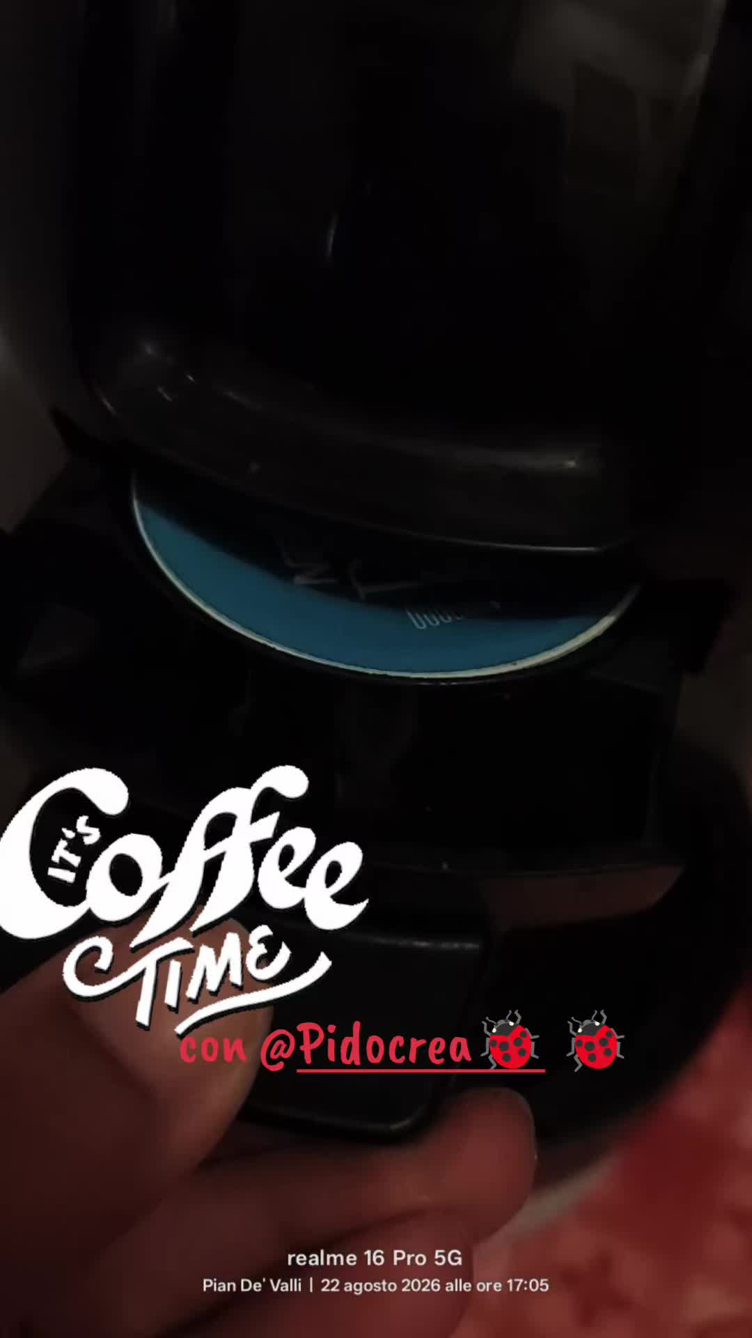 @Pidocrea🐞