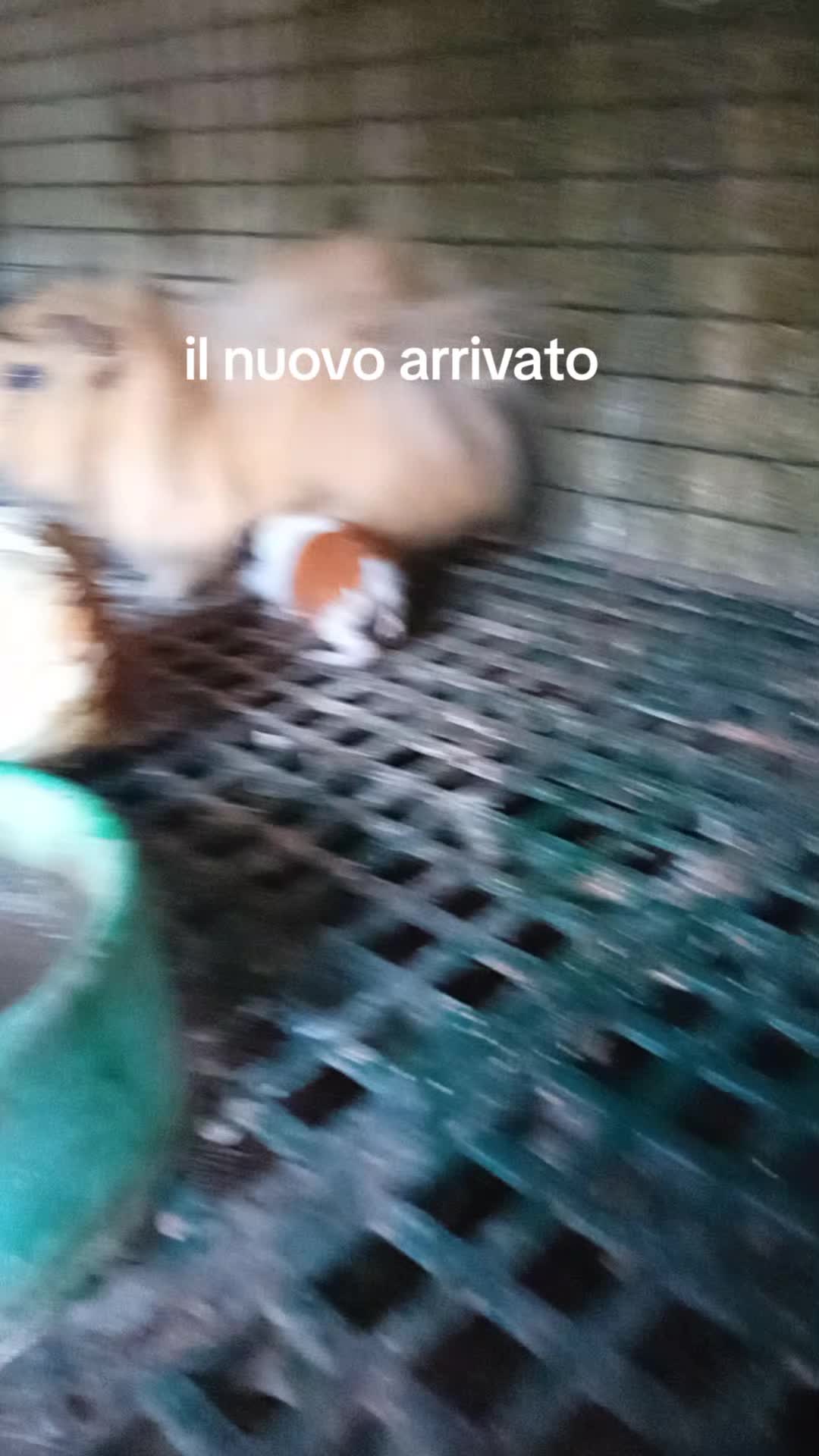@Patrizia Fioretti141