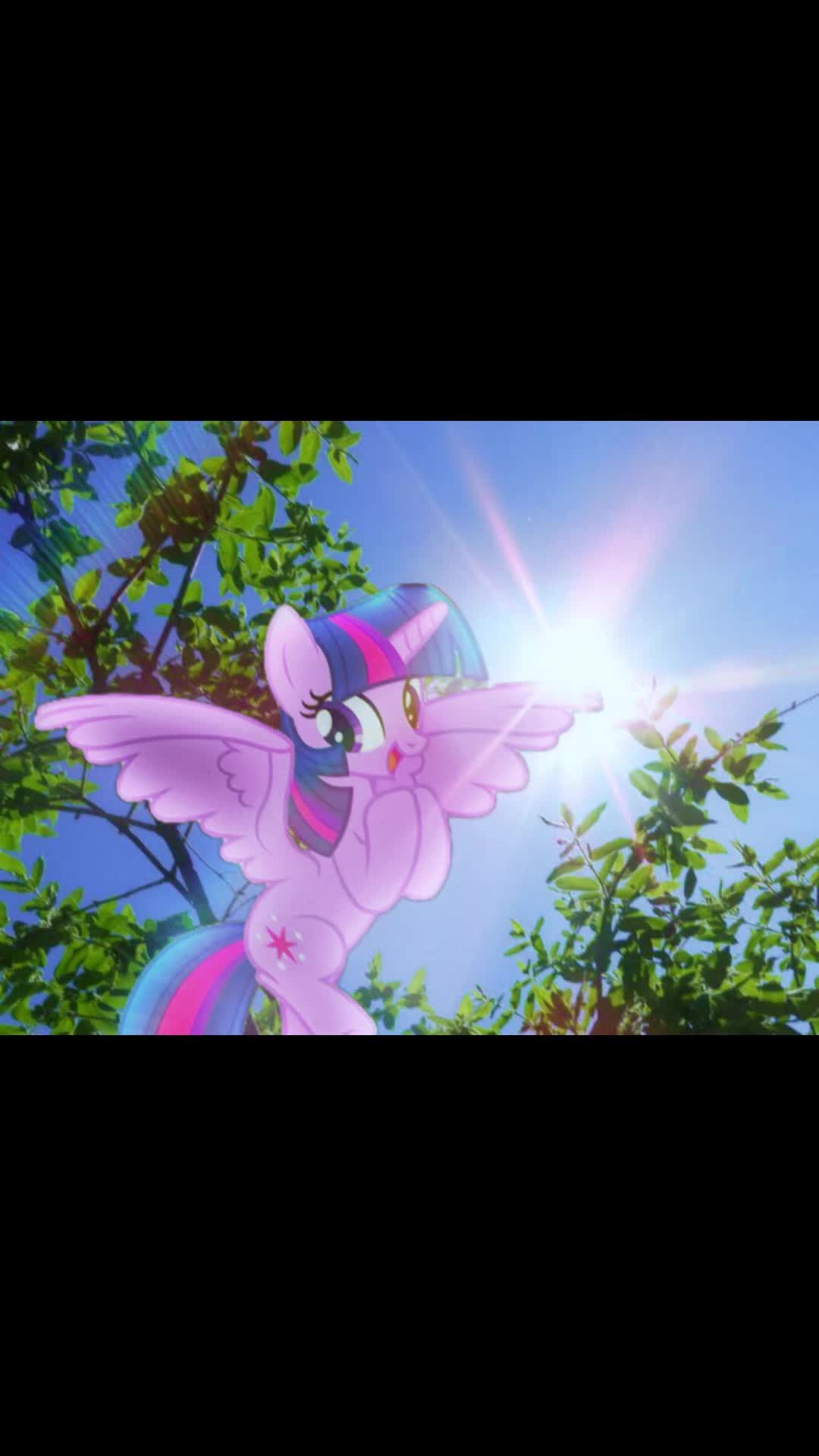 @mlp