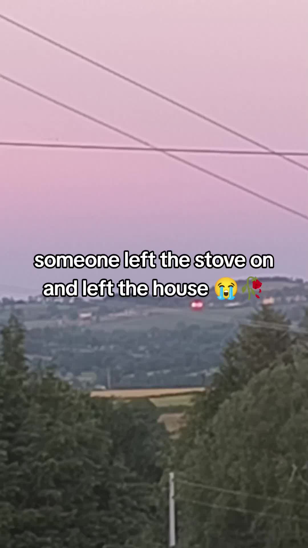 @shut up and repost