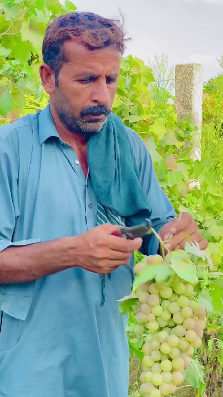 @M akram shikari