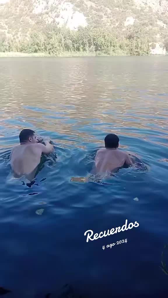 @🦚Octavian 🦚😎😉