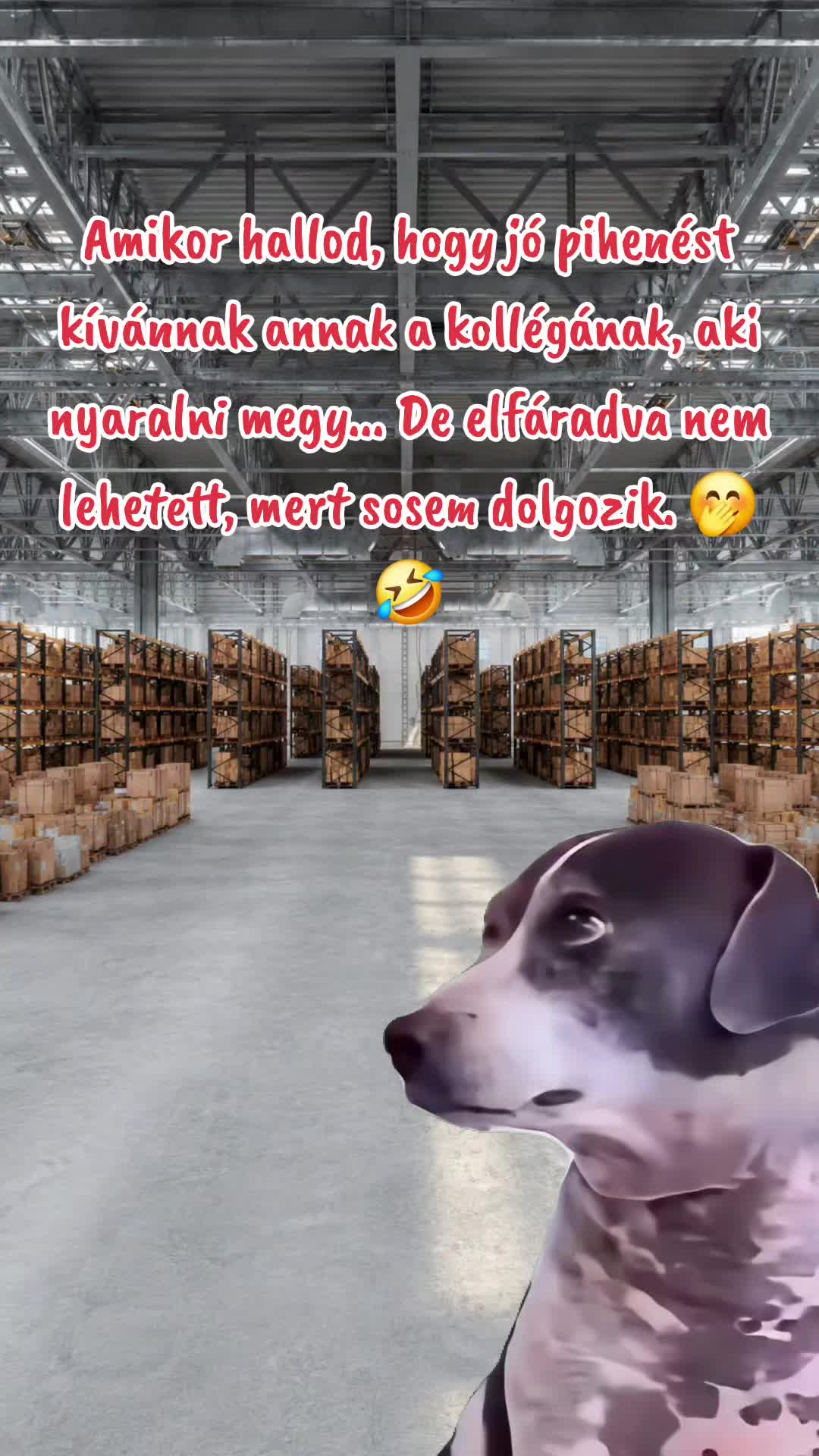 @Szabi 🇩🇪