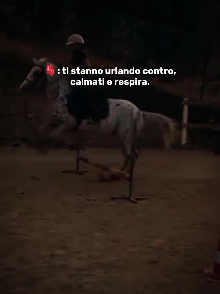 @Emy e Rokino🐶🐶🐾🐾