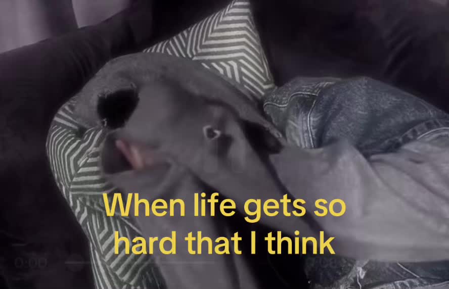 @I dunno