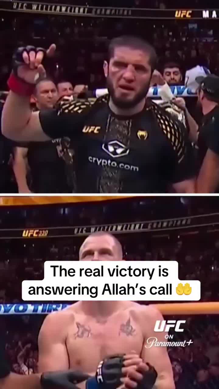 @qaimdinsultan